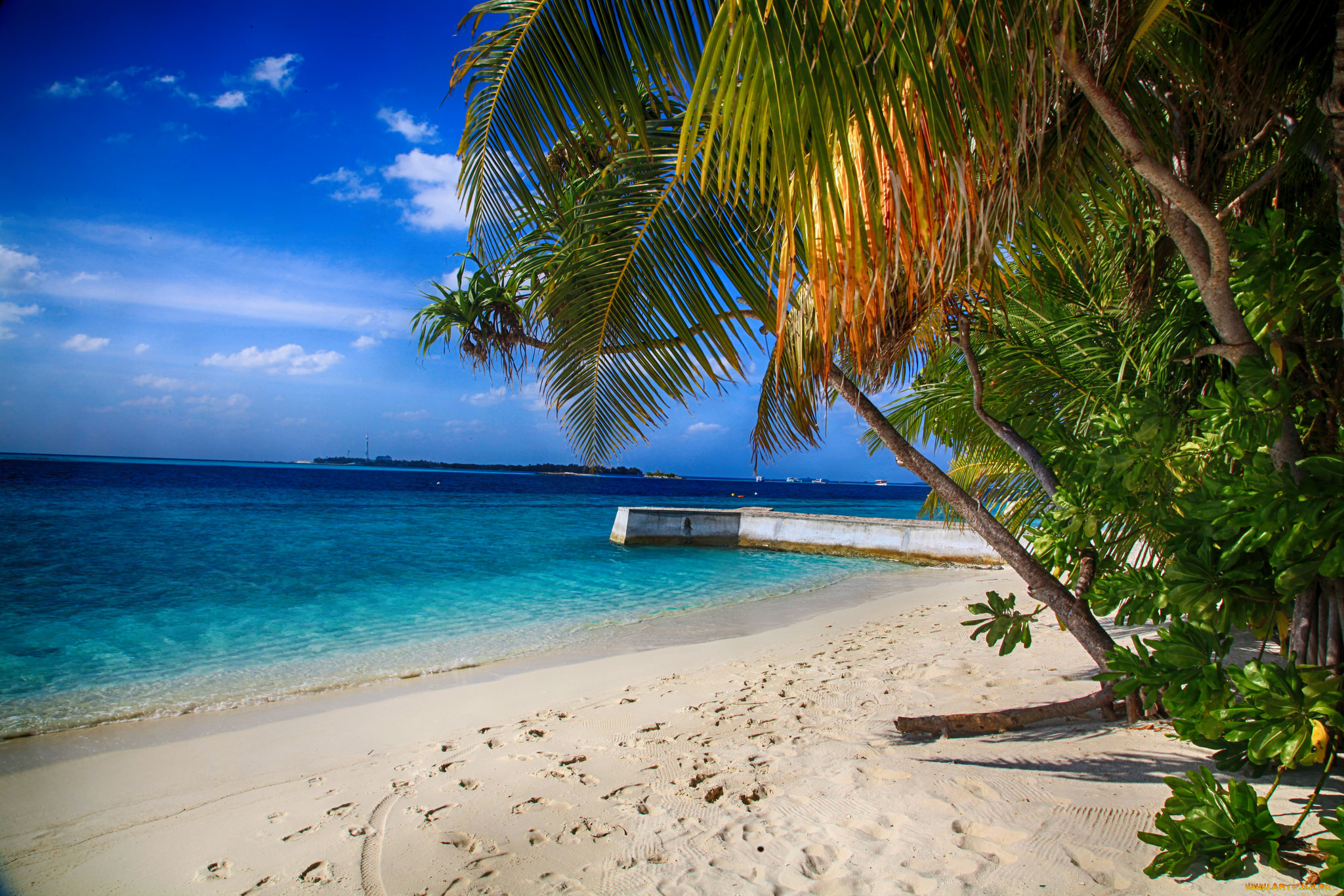 природа, тропики, море, пляж, пальмы, вода, красота