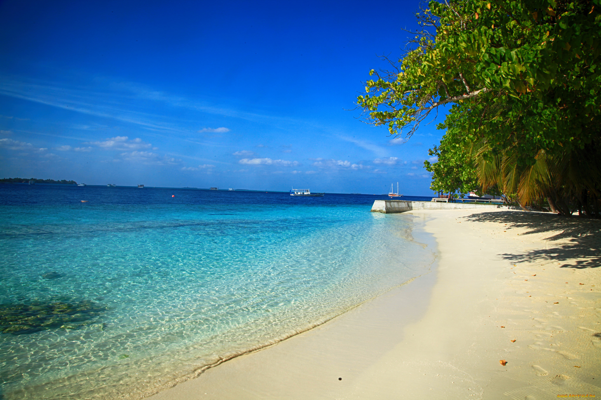 природа, тропики, море, пляж, пальмы, вода, красота