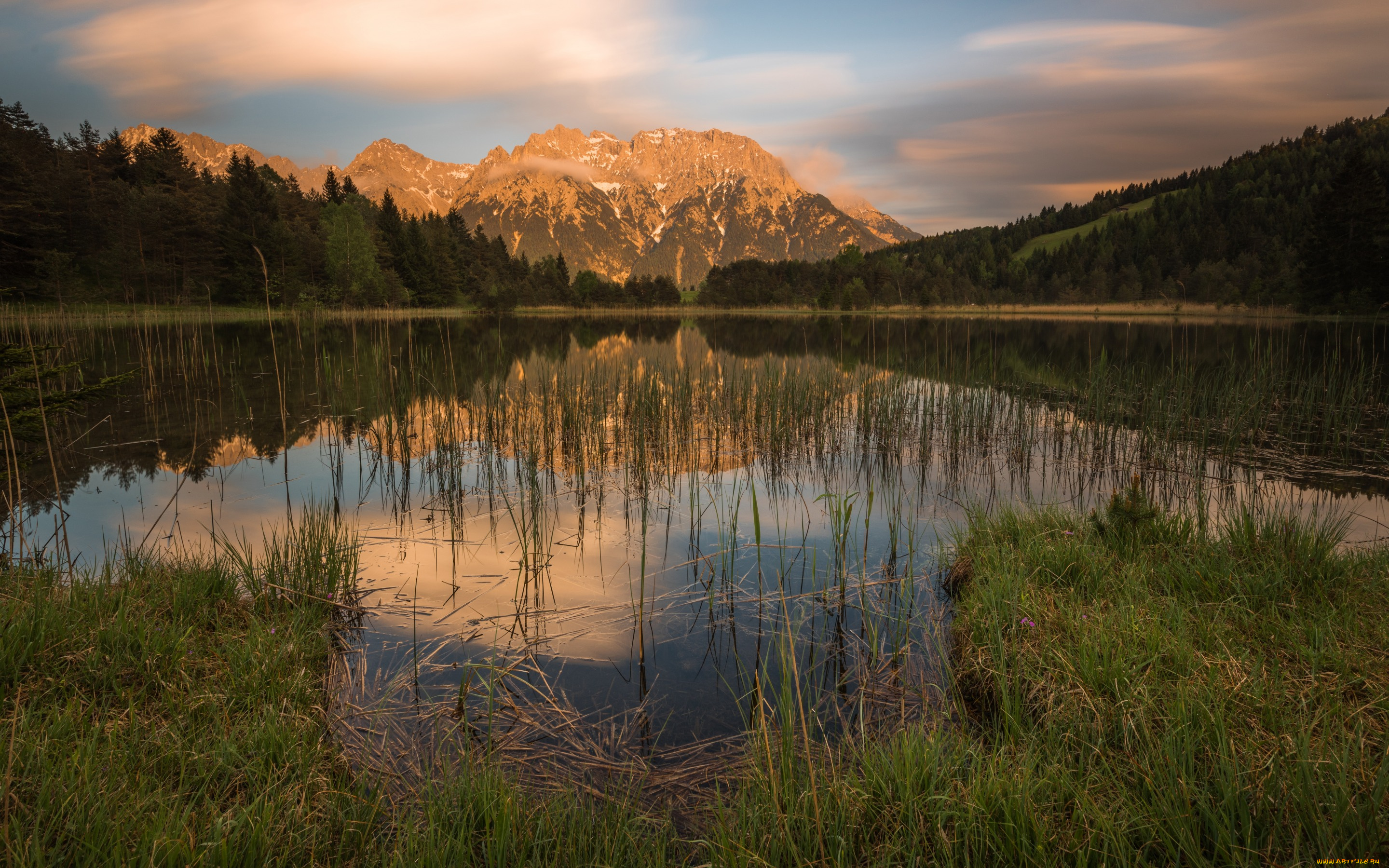 природа, реки, озера, зеркальное, берег, вечер, вода, альпы, отражение, горы, растительность, холмы, тишина, пейзаж, лес, облака, вершины, водоем, озеро, лето, небо, трава