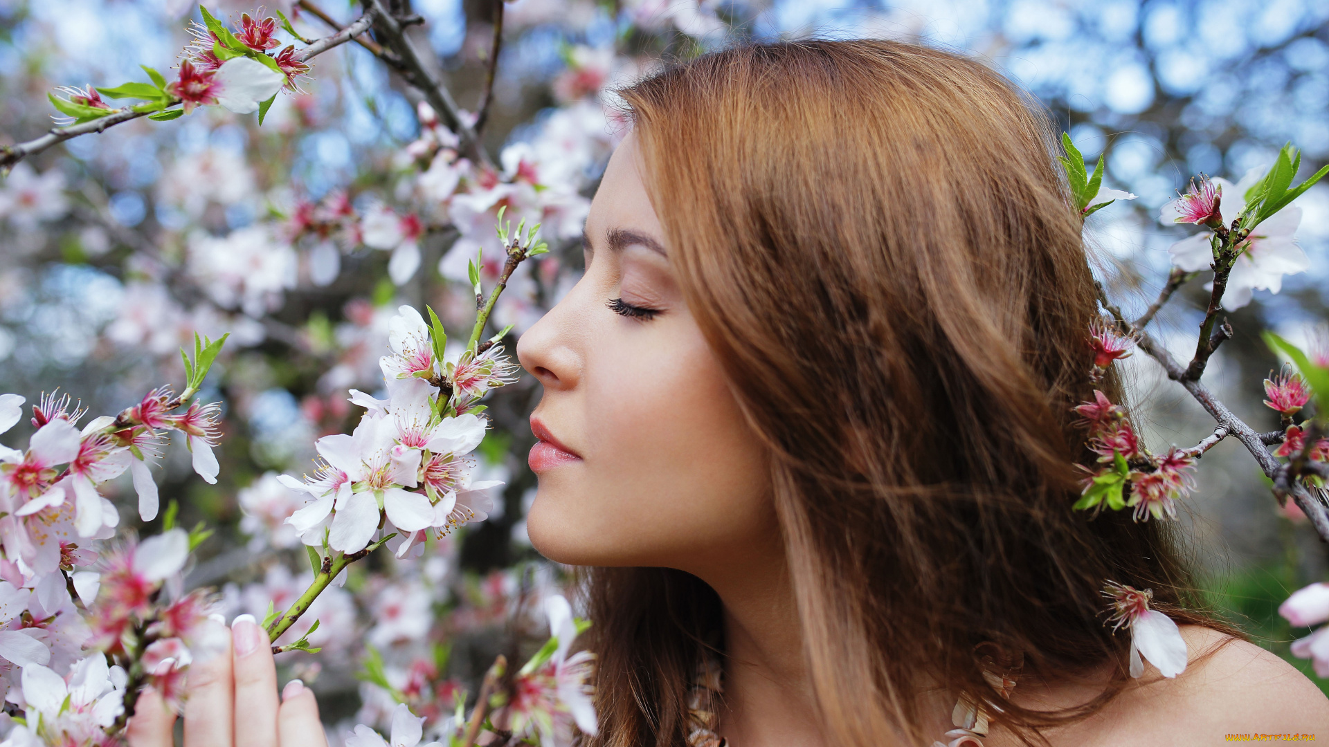 sybil, a, kailena, девушки, модель, девушка, sybil, a, kailena