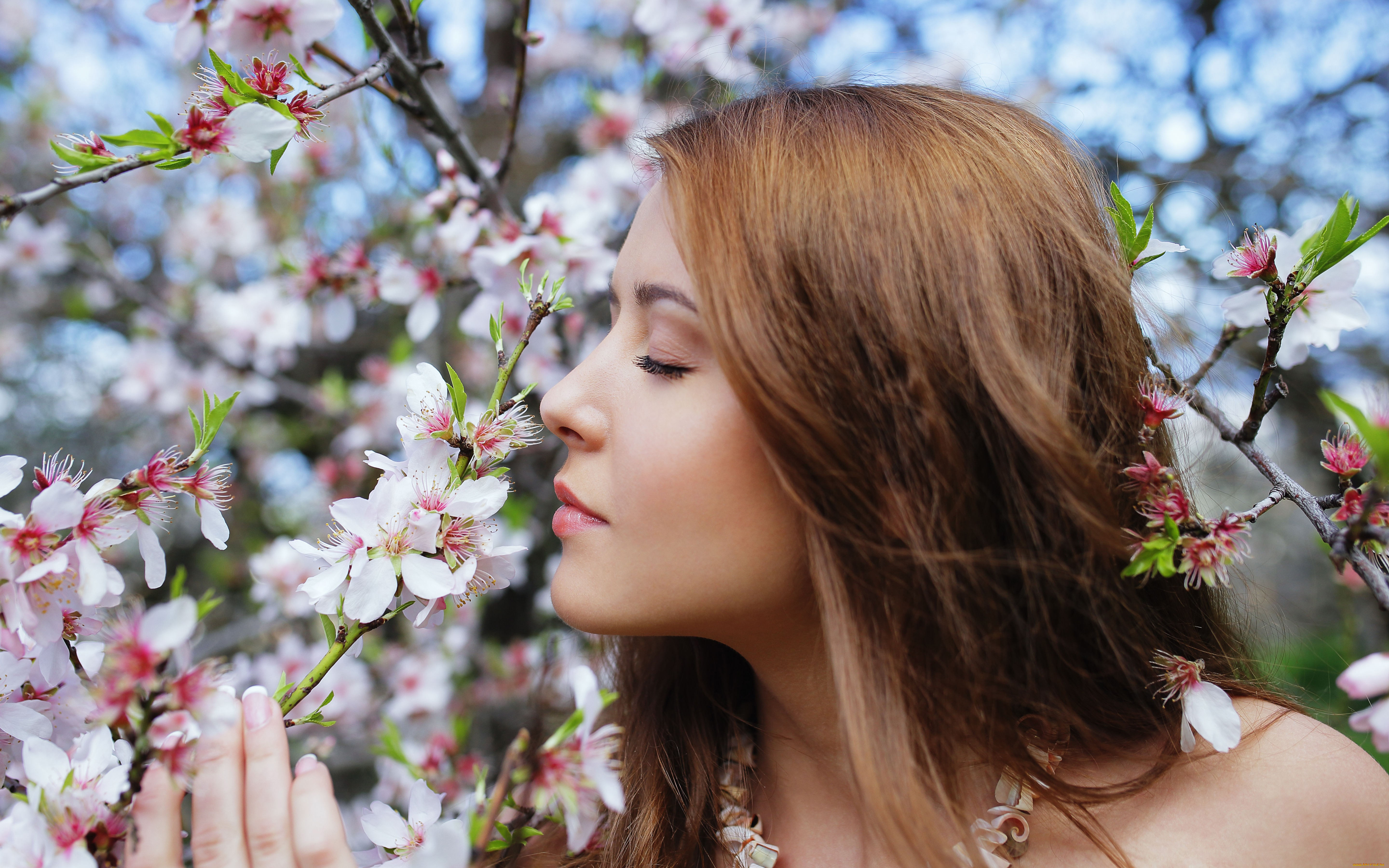 sybil, a, kailena, девушки, модель, девушка, sybil, a, kailena