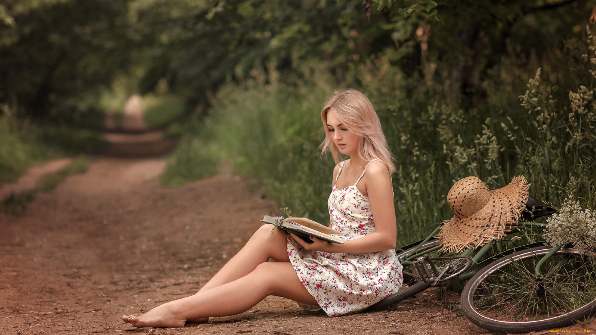 девушки, -, блондинки, , светловолосые, велосипед, блондинка, шляпа, книга