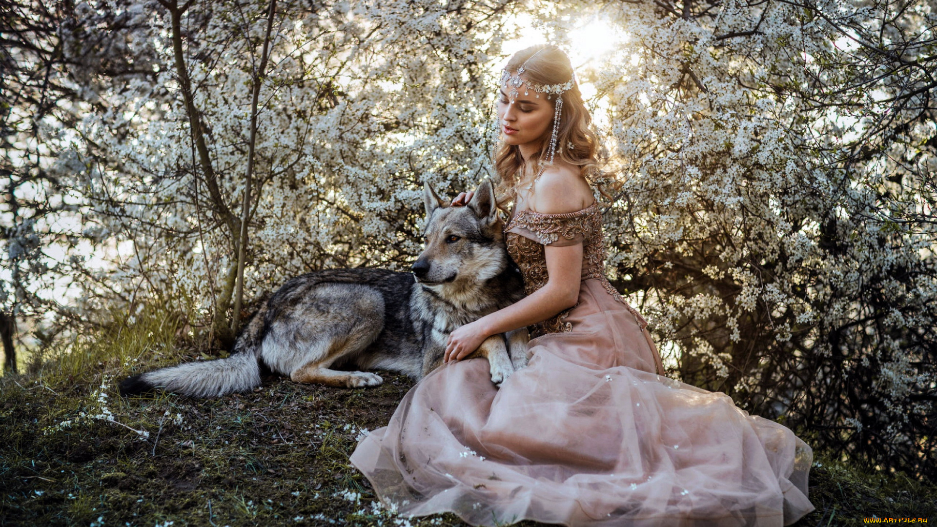 девушки, -, блондинки, , светловолосые, весна, цветущий, сад, блондинка, собака, marketa, novak