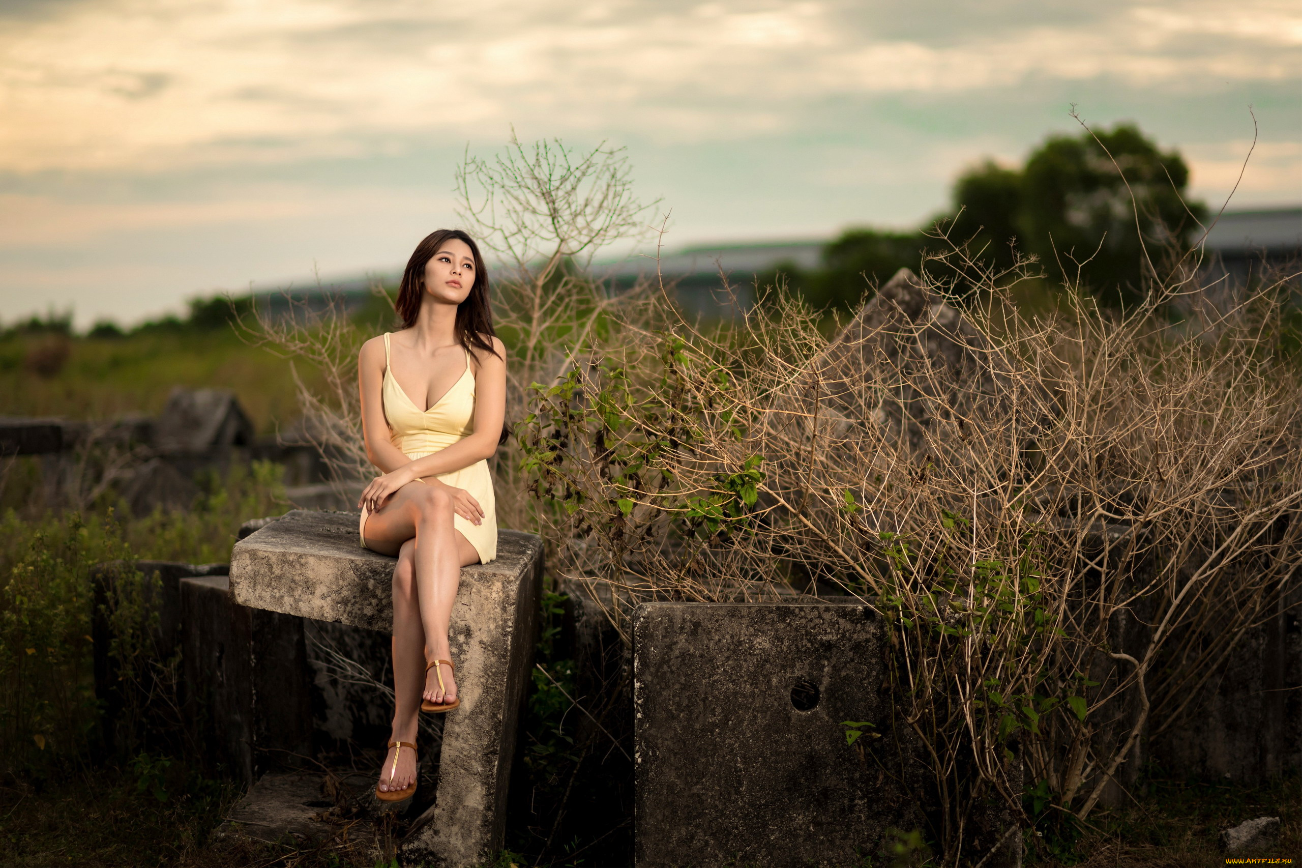 девушки, -, брюнетки, , шатенки, вечер, брюнетка, задумчивый, взгляд