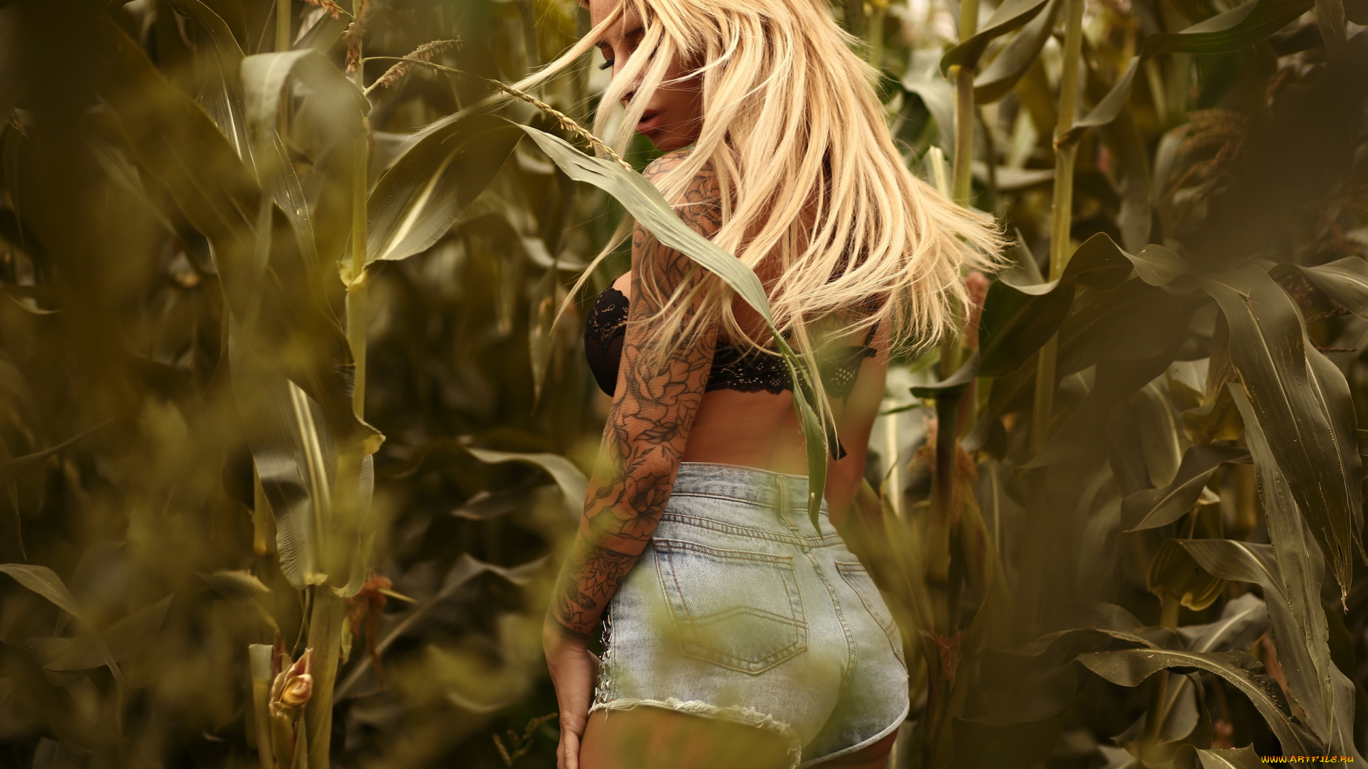 julia, abrams, девушки, julia, abrams, , юлия, абрамова, девушка, женщина, блондинка, светловолосая, сексуальная, модель, звезда, позирует, разная, обувь, верхняя, стильная, одежда, нижнее, эротическое, бельё, трусы, лифчик, колготки, чулки, аксессуары, макияж, и, множество, элементов, на, фотографии