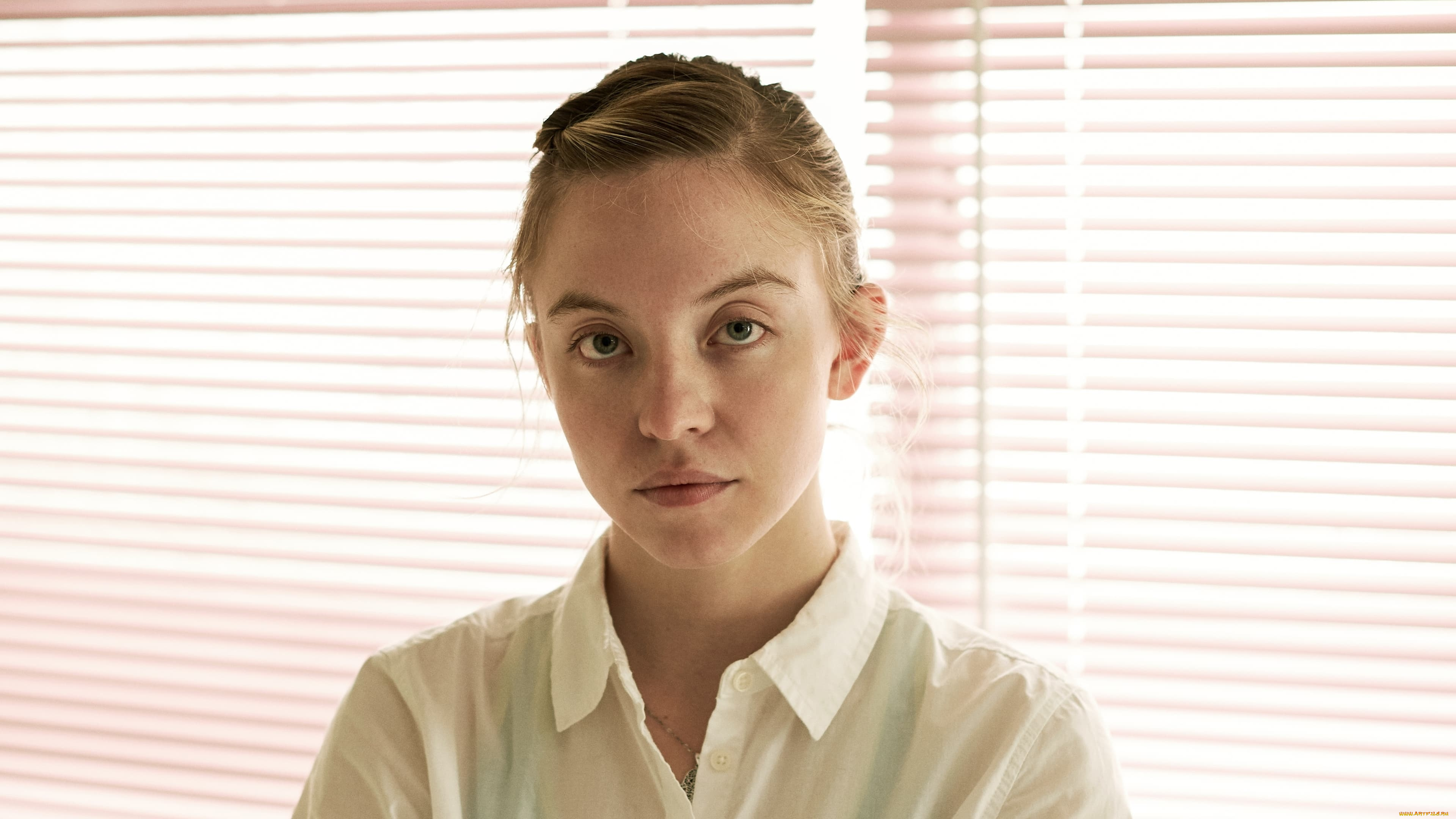 reality, , , 2023, , кино, фильмы, -unknown, , другое, реалити, драма, биография, история, сидни, суини, sydney, sweeney, reality, winner