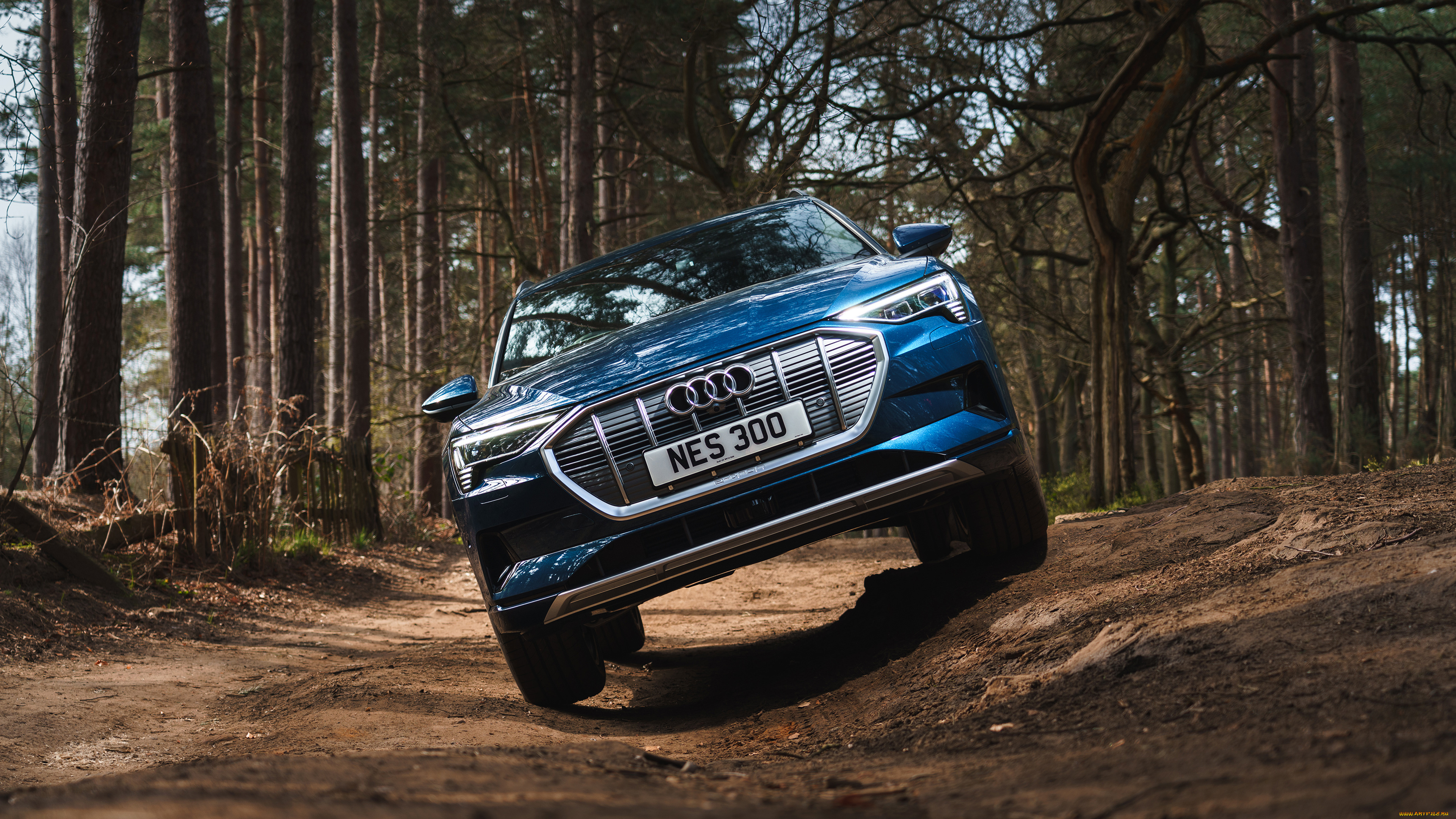suv, audi, e-tron, 55, quattro, 2019, автомобили, audi, синий, лес, тропа