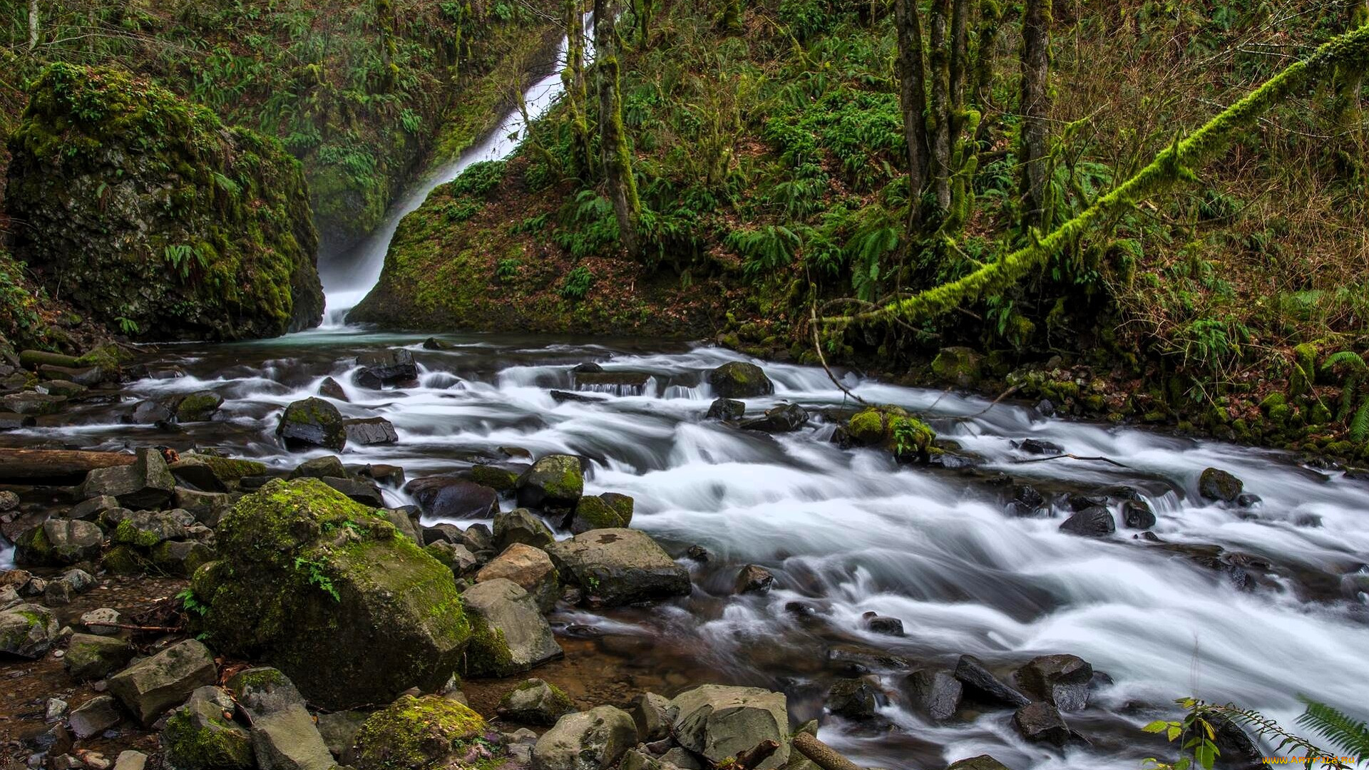 природа, водопады, водопад, река, поток, склоны, камни, лес