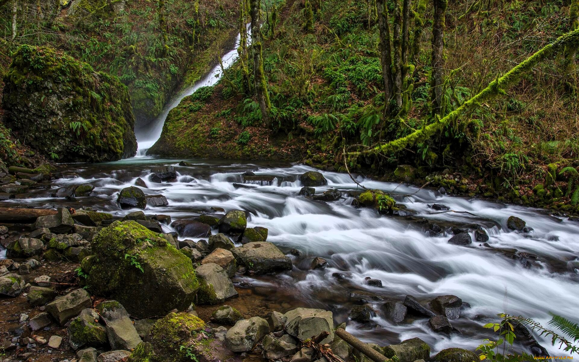 природа, водопады, водопад, река, поток, склоны, камни, лес