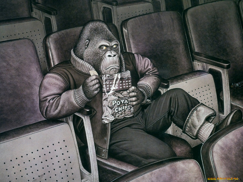 юмор, приколы