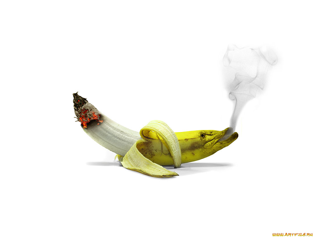 юмор, приколы