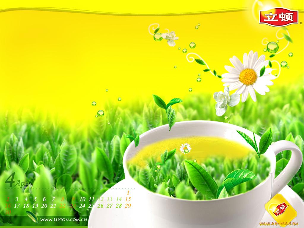 бренды, lipton