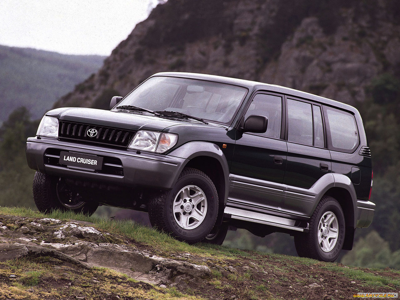 автомобили, toyota