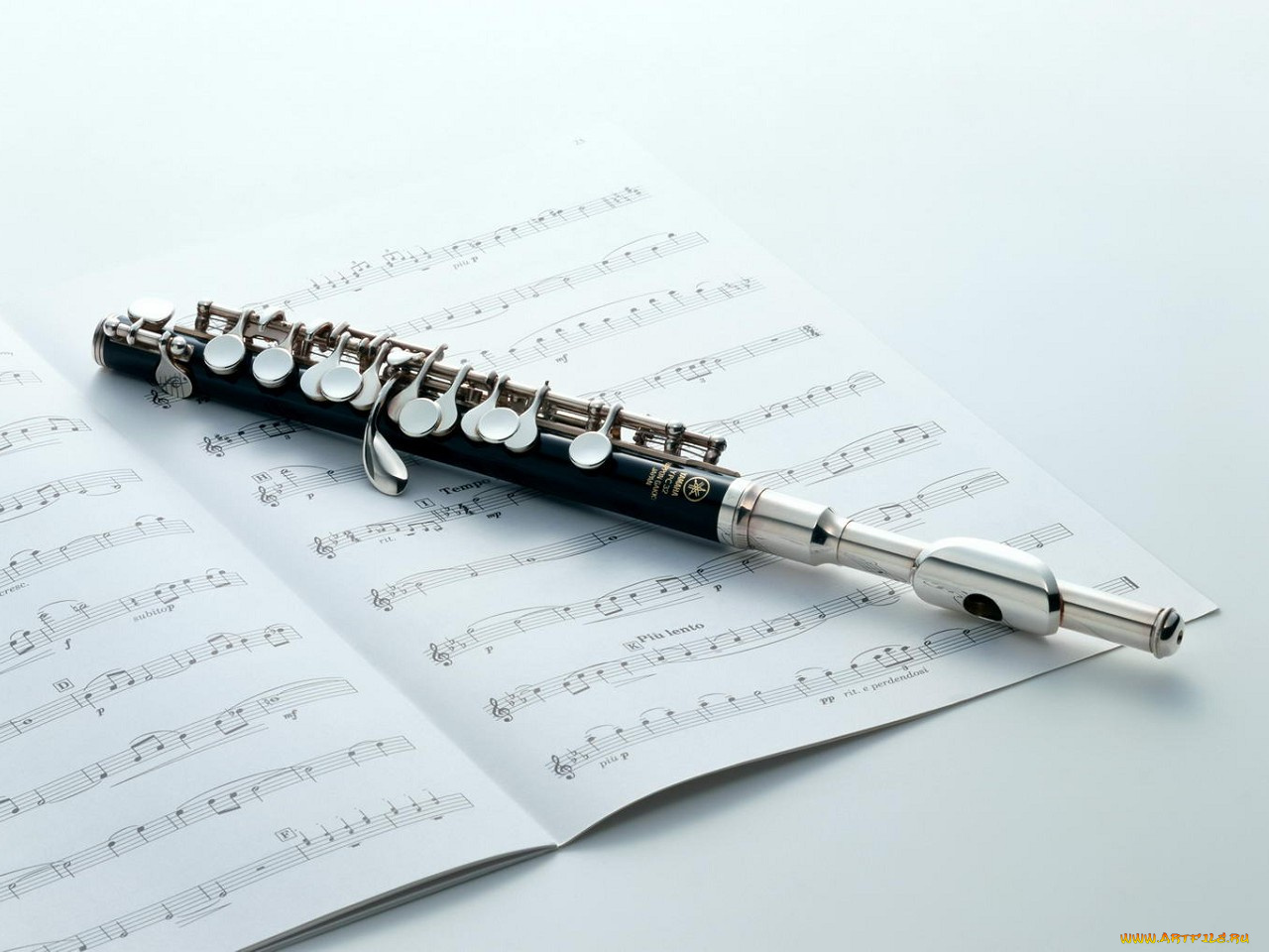 музыка, музыкальные, инструменты
