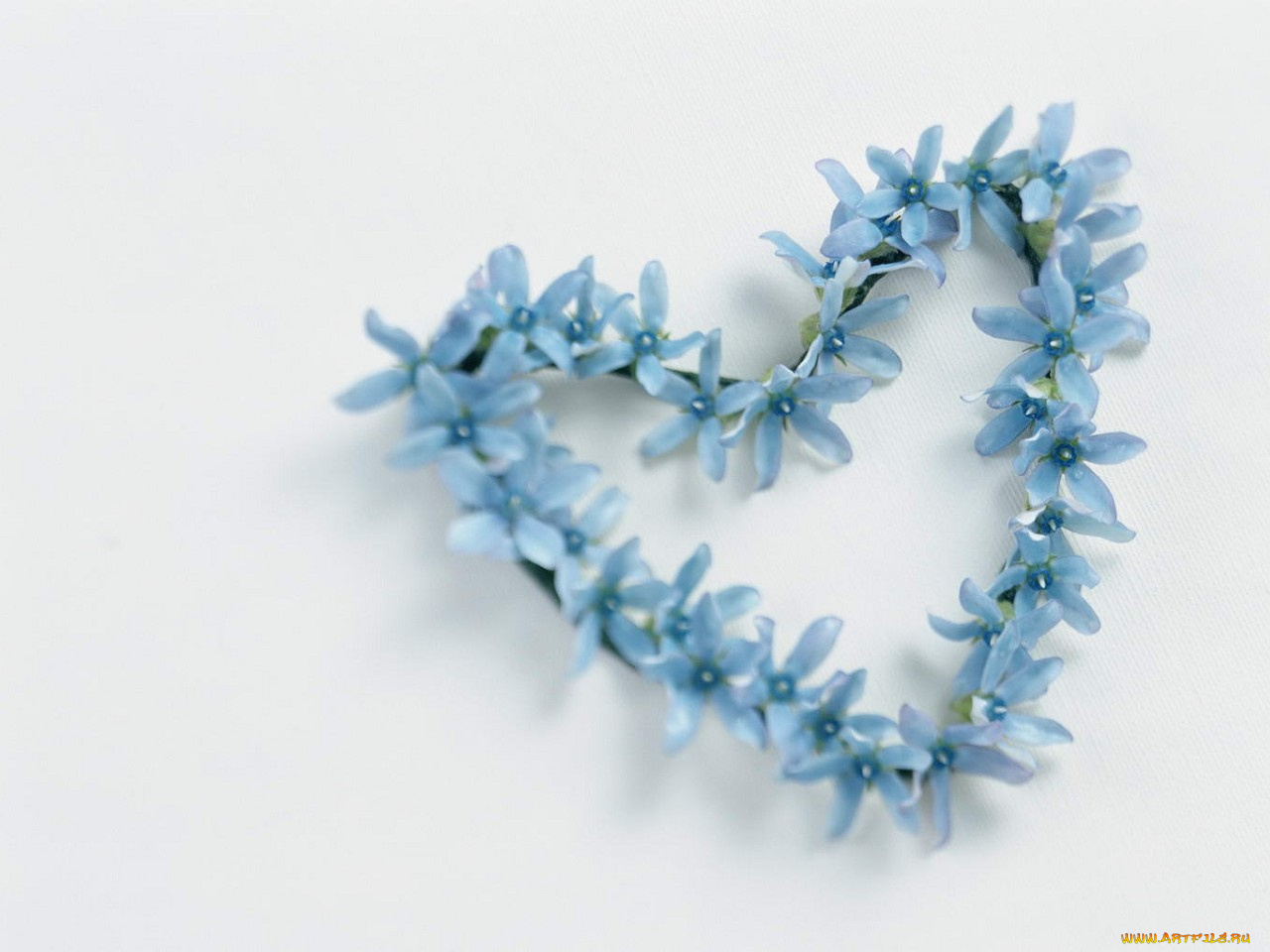 праздничные, день, св, валентина, сердечки, любовь