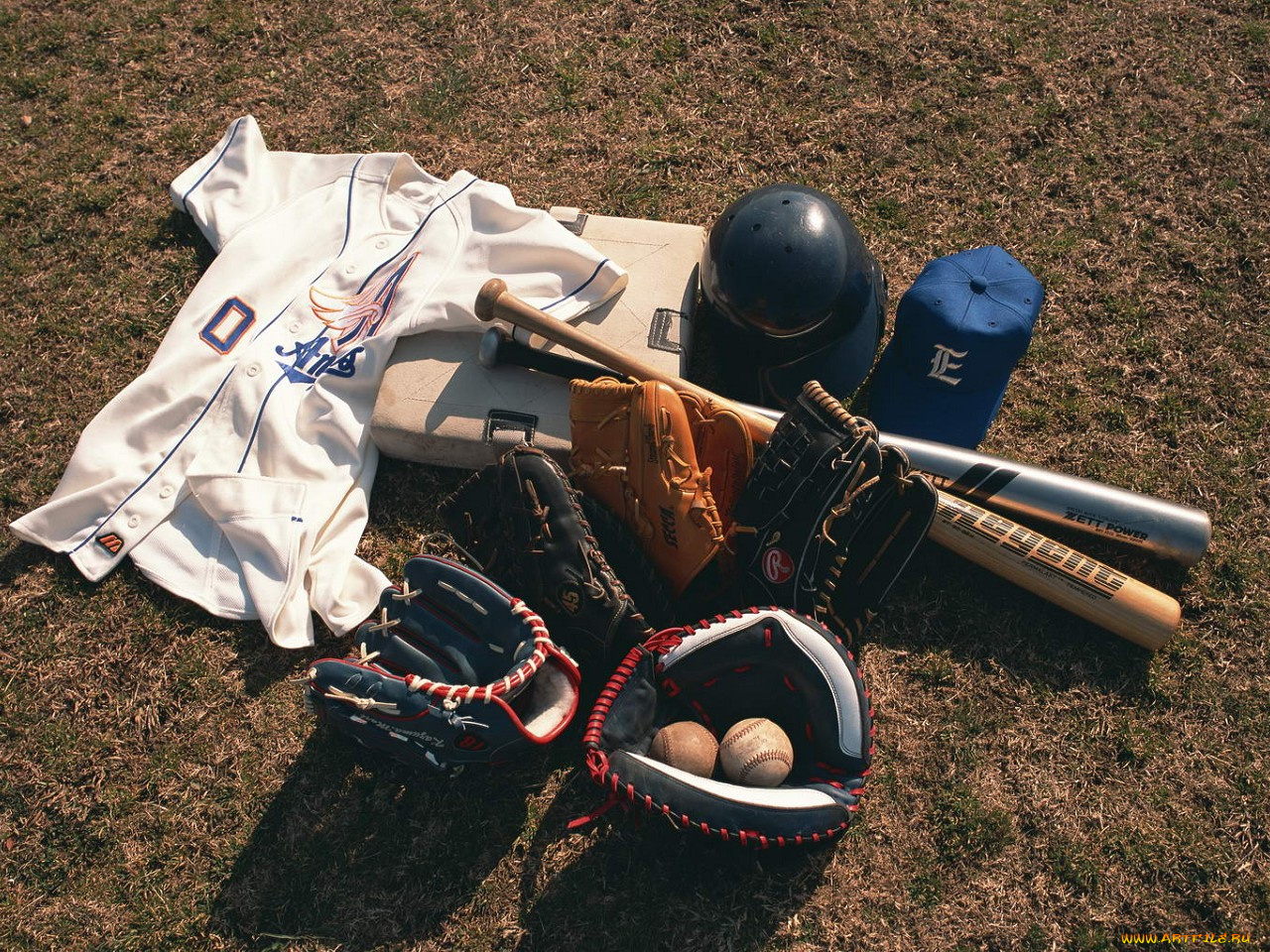 спорт, бейсбол