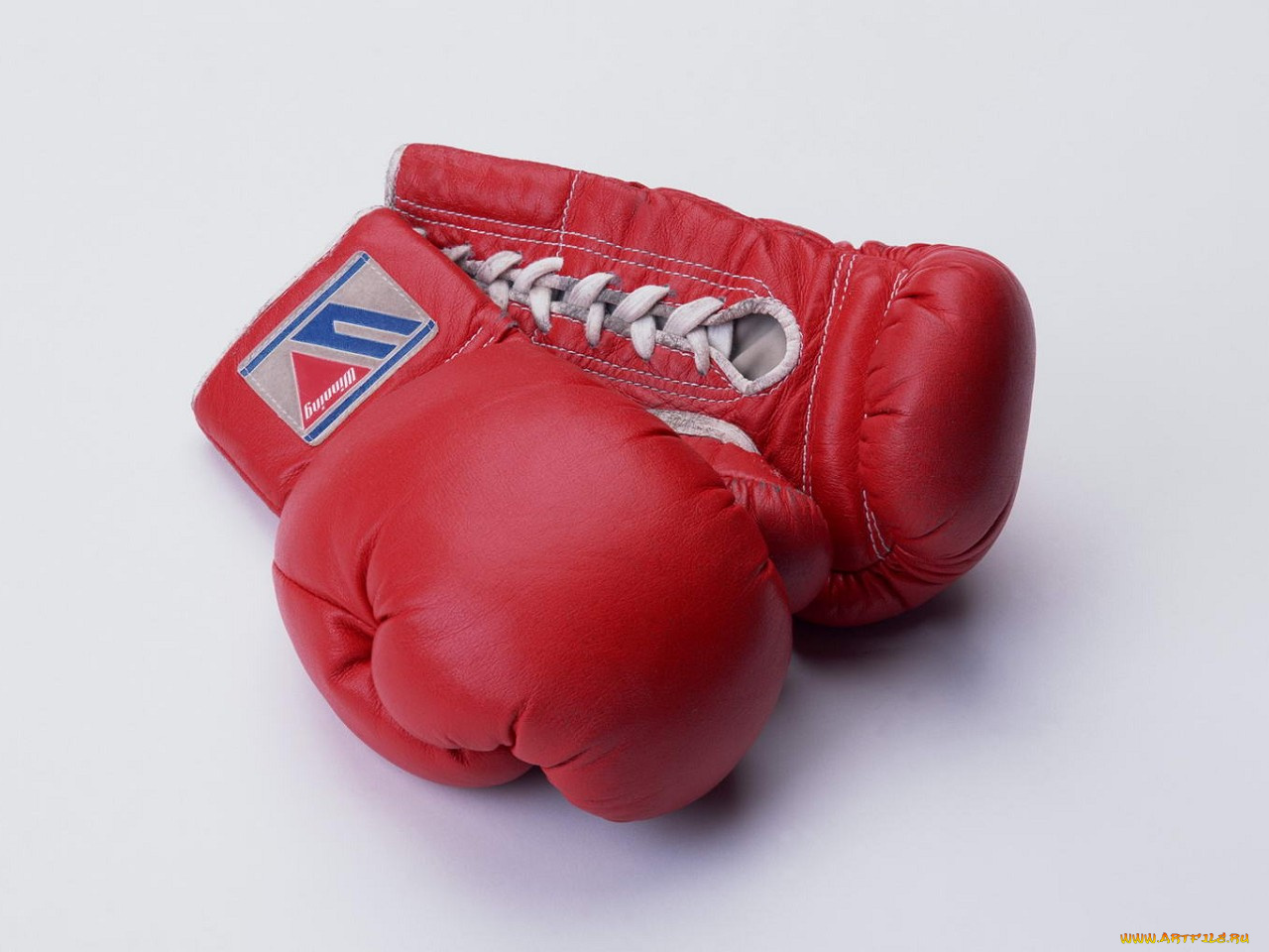 спорт, бокс