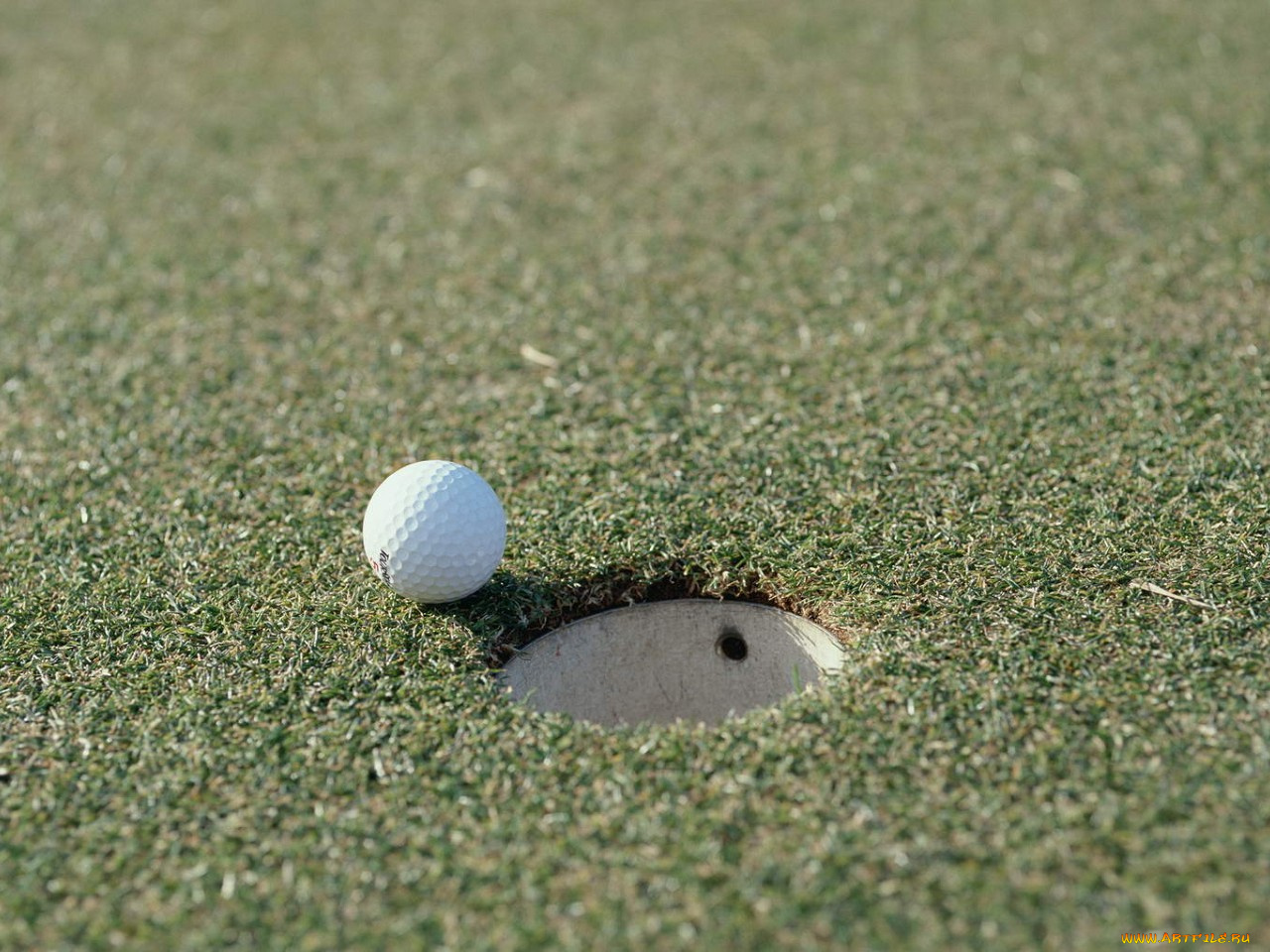 спорт, гольф