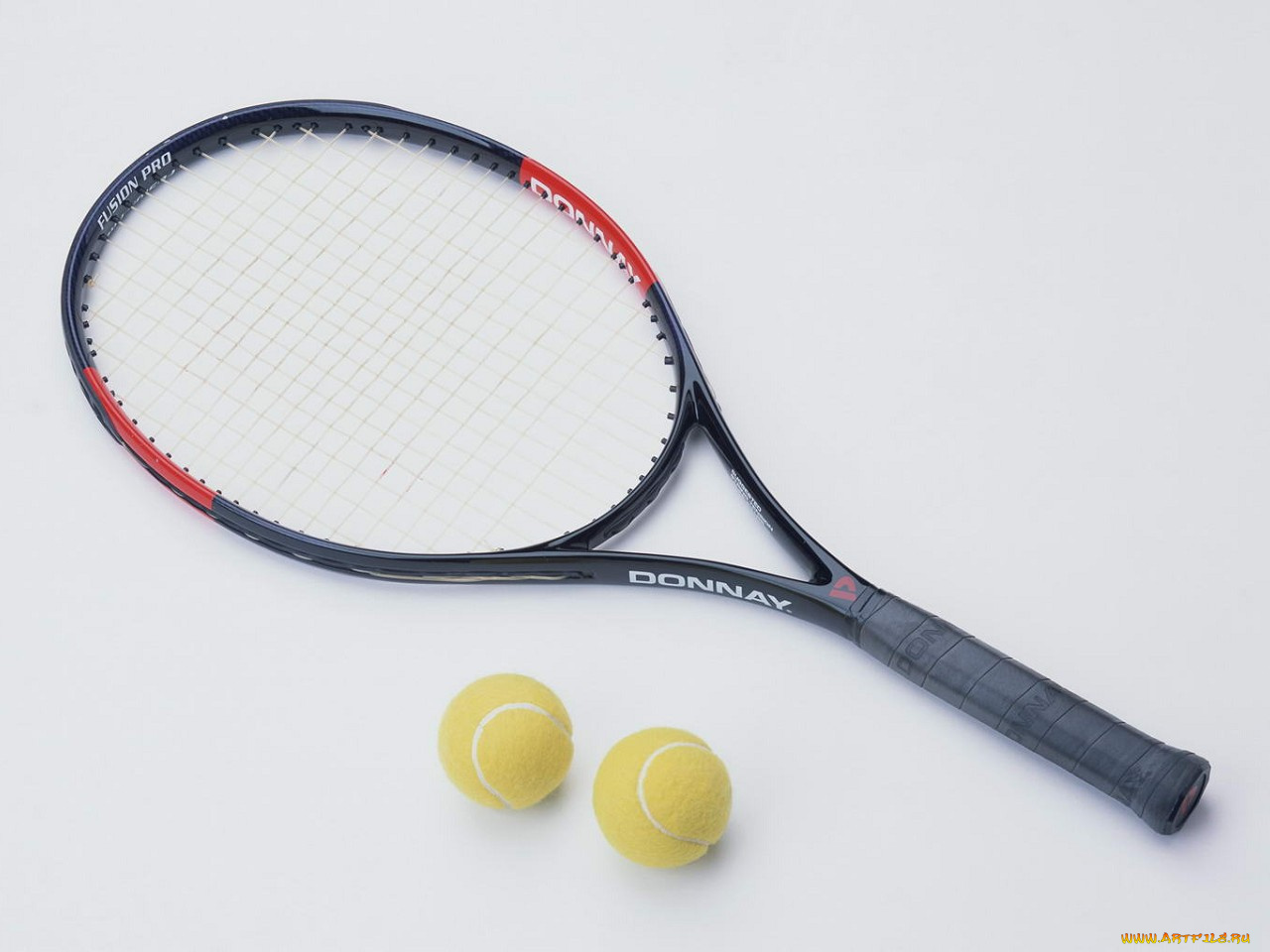 спорт, теннис