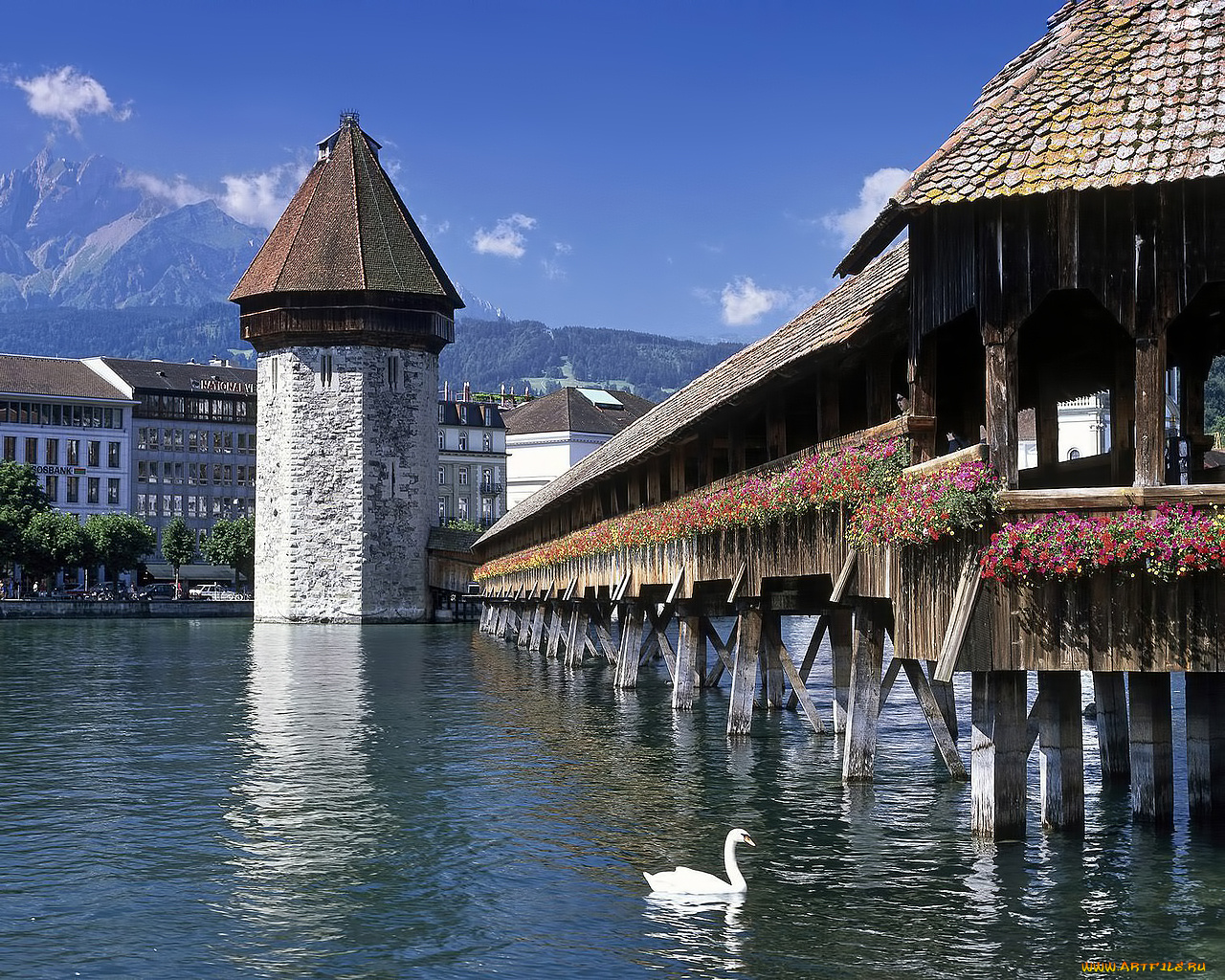 города, мосты