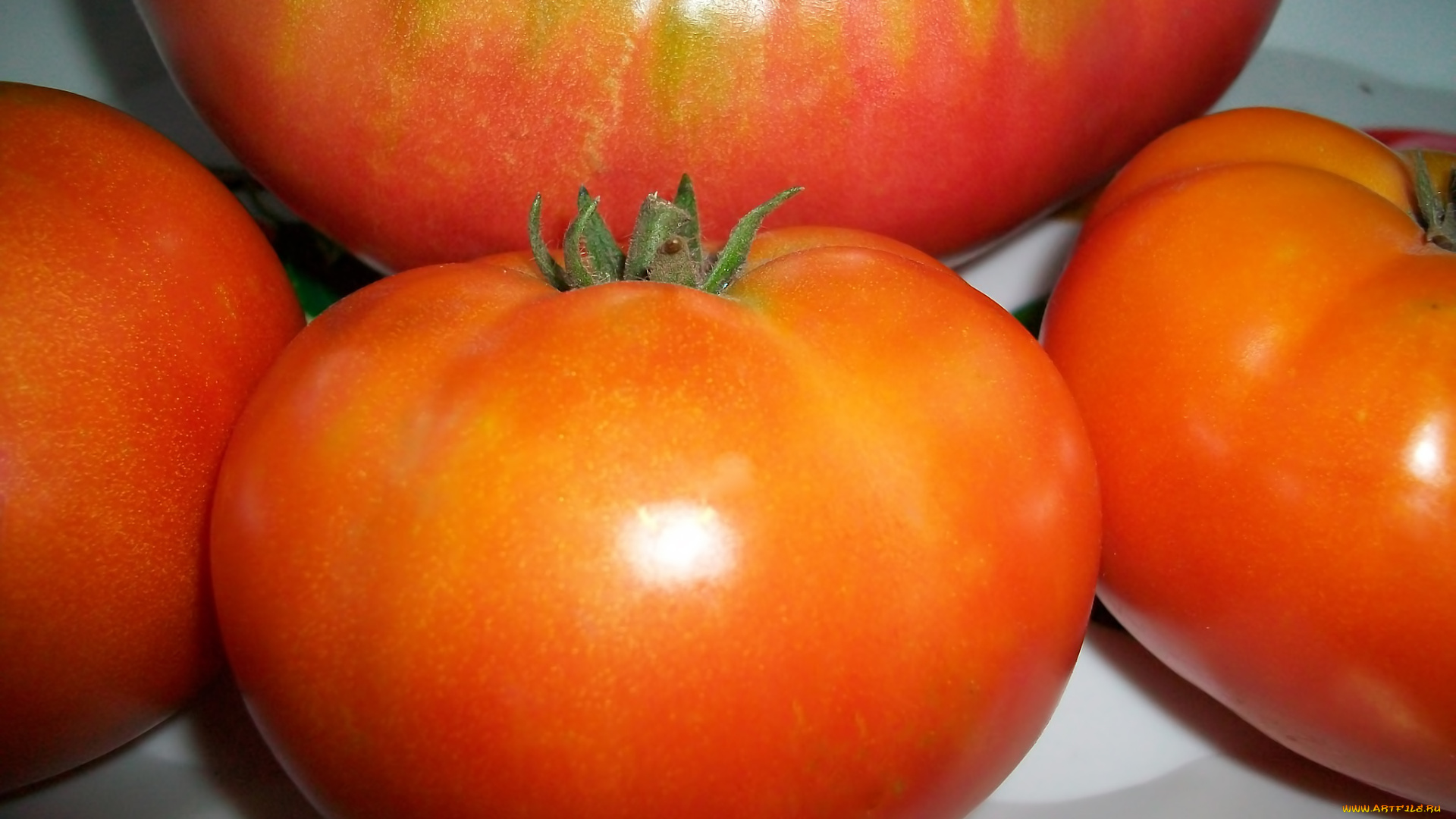 еда, помидоры, томаты