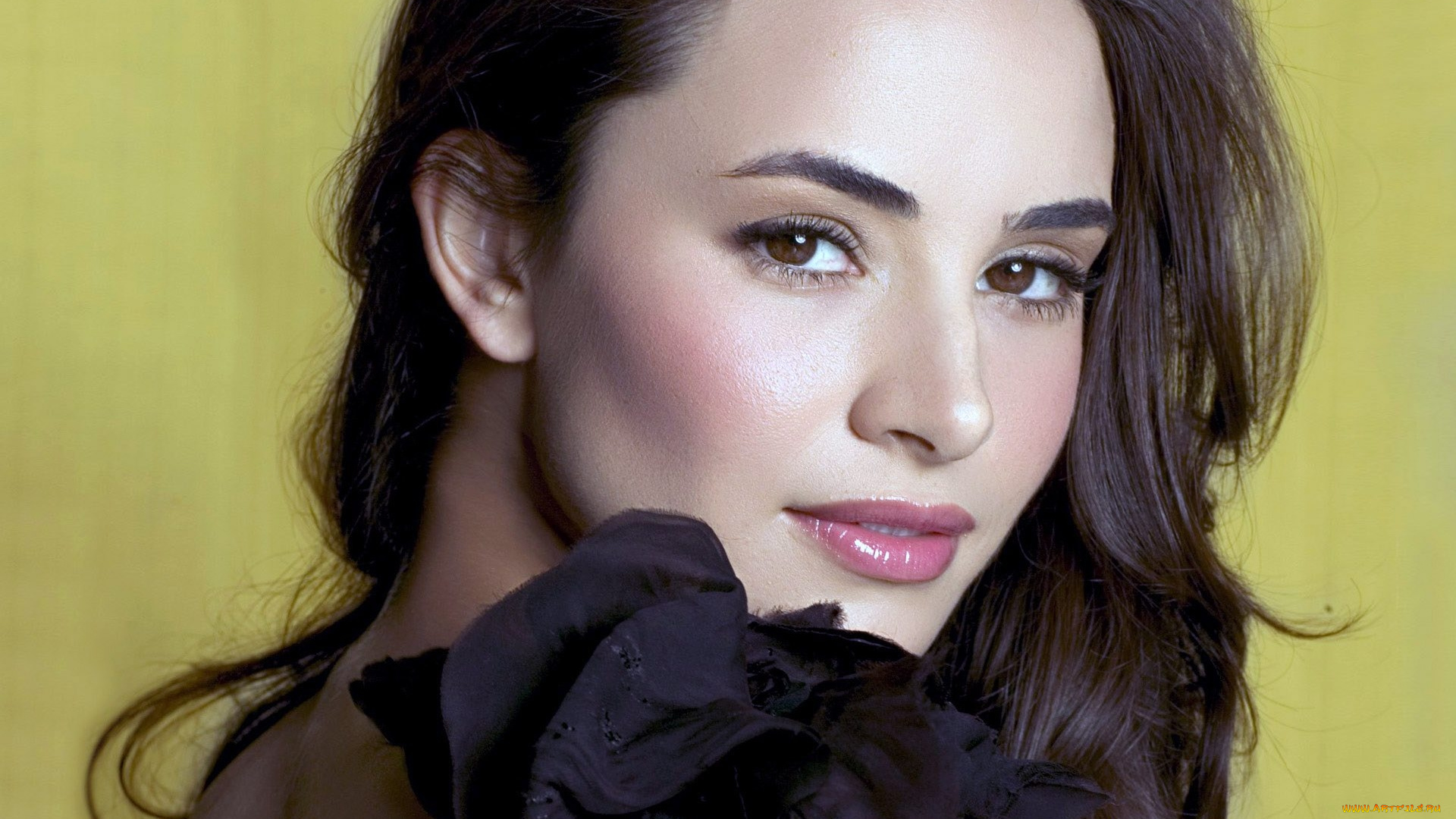 Mia, Maestro, девушки