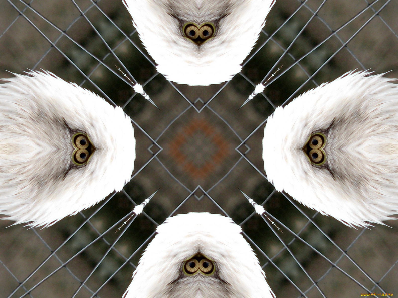 3д, графика, fractal, фракталы, фрактал