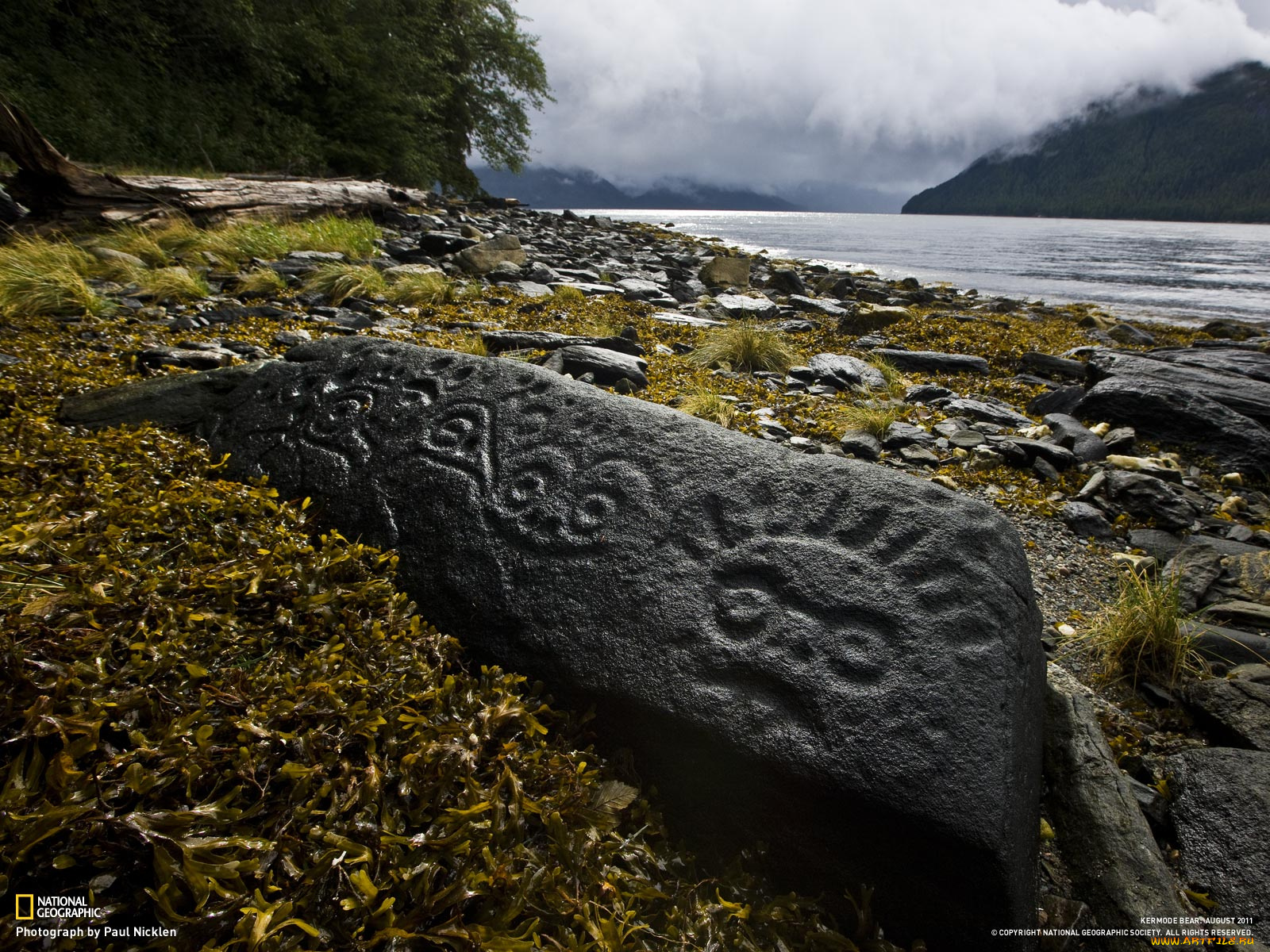 разное, рельефы, статуи, музейные, экспонаты, камень