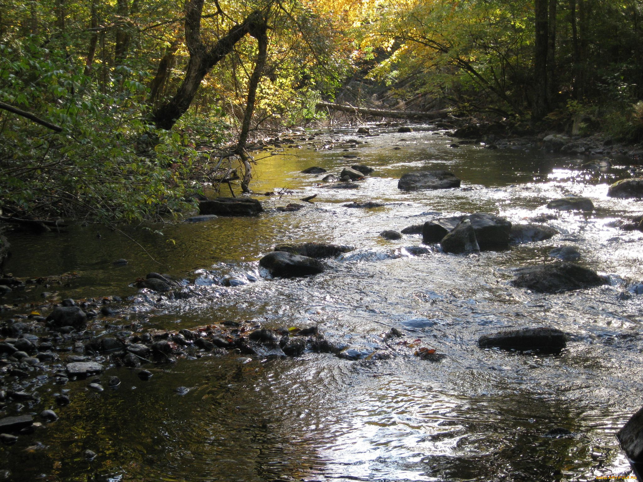 природа, реки, озера, река