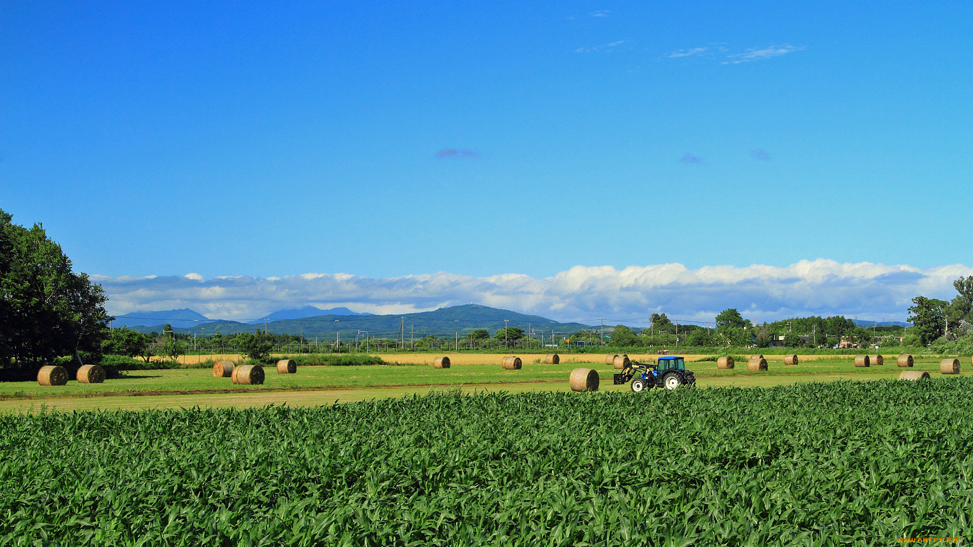 техника, тракторы, поле, сено, трактор