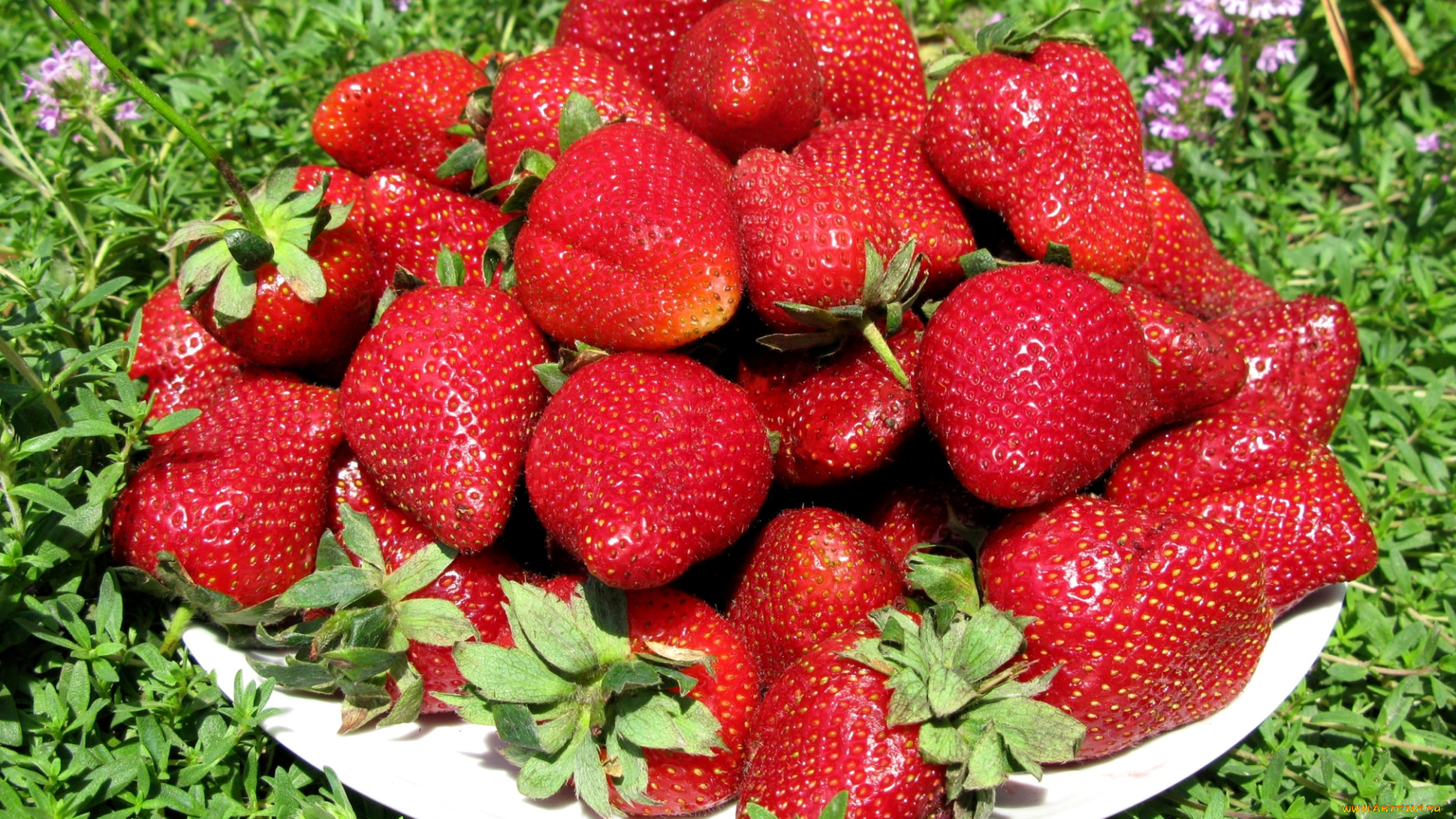 еда, клубника, земляника, красота, лето, ягоды