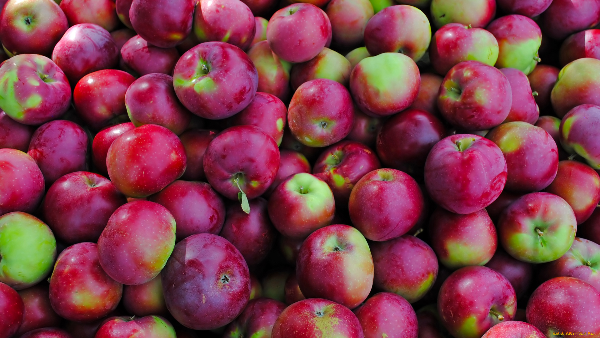 еда, Яблоки