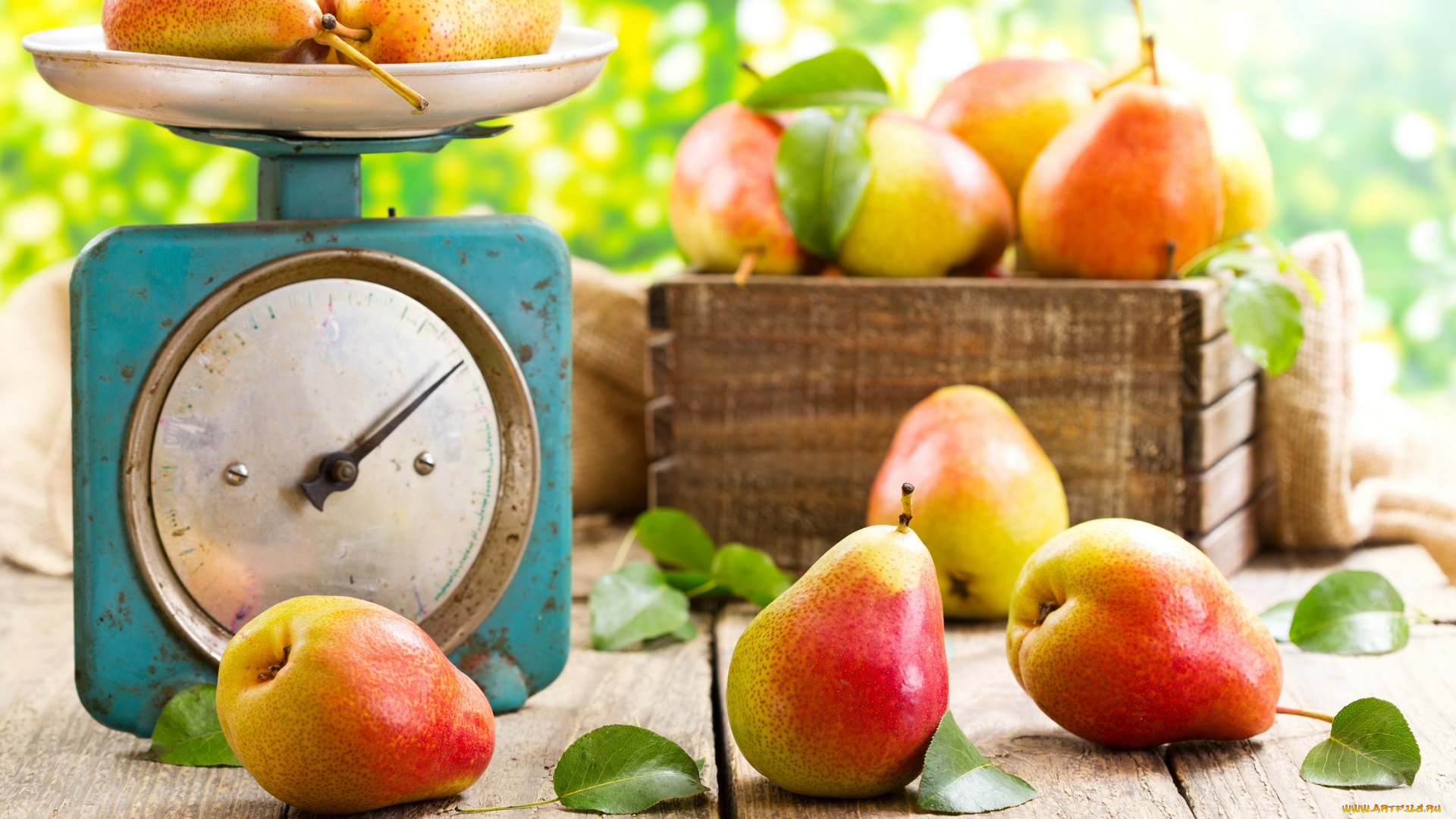 еда, груши, ящик, листики, весы
