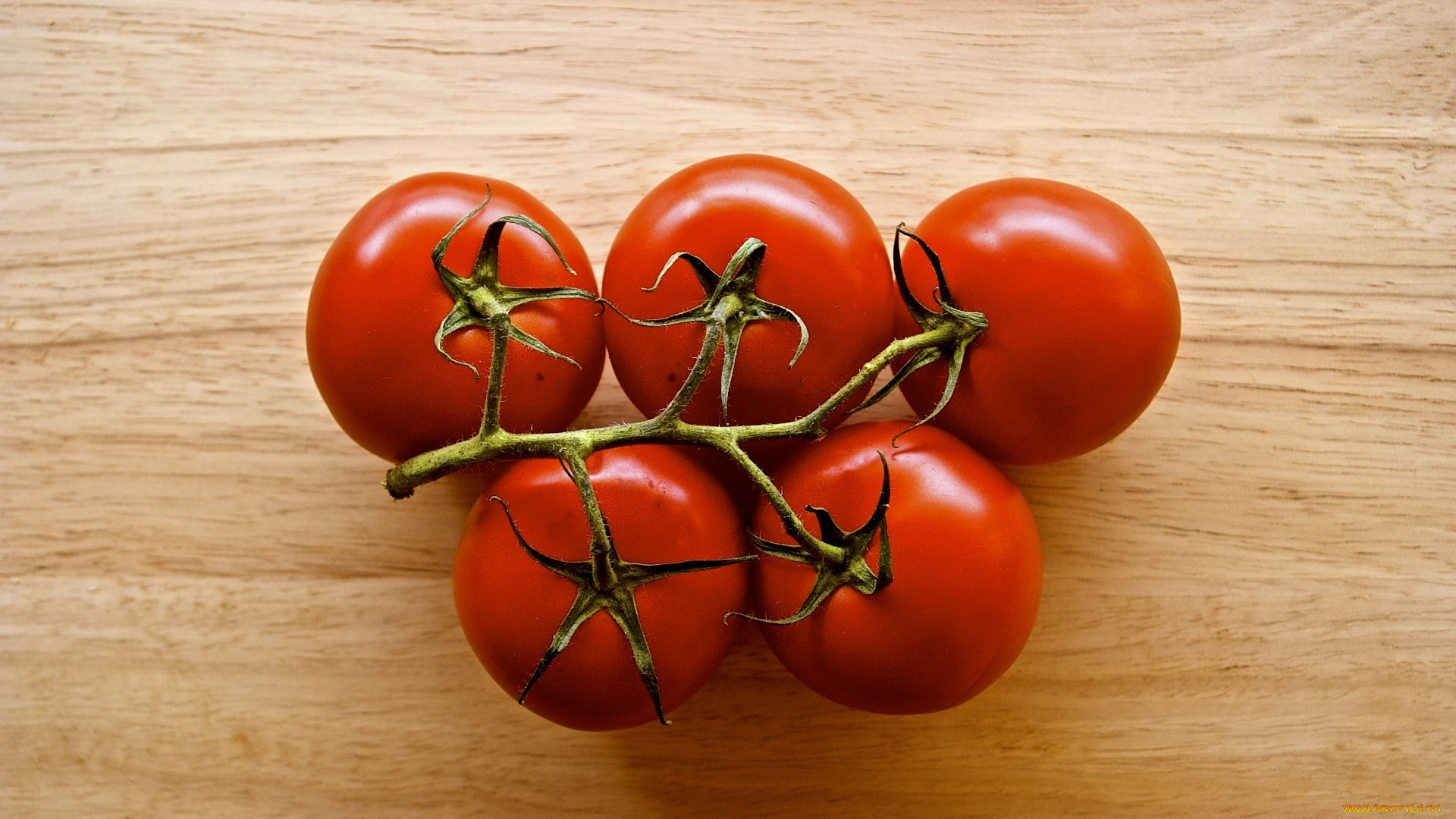 еда, помидоры, ветка, красный, томаты