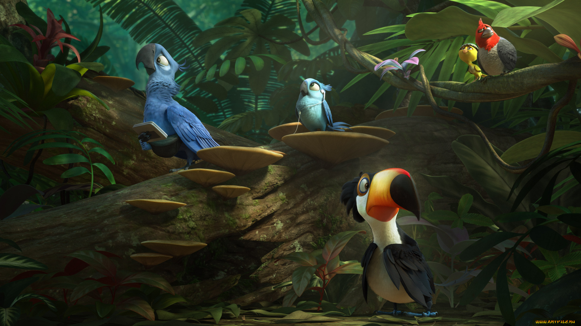 мультфильмы, rio, 2, птицы