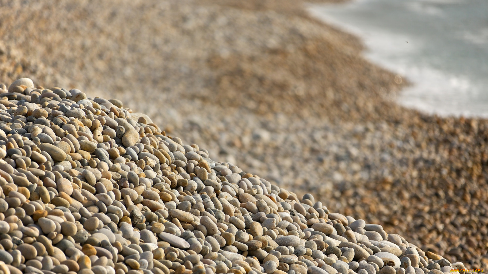 природа, камни, , минералы, макро, берег