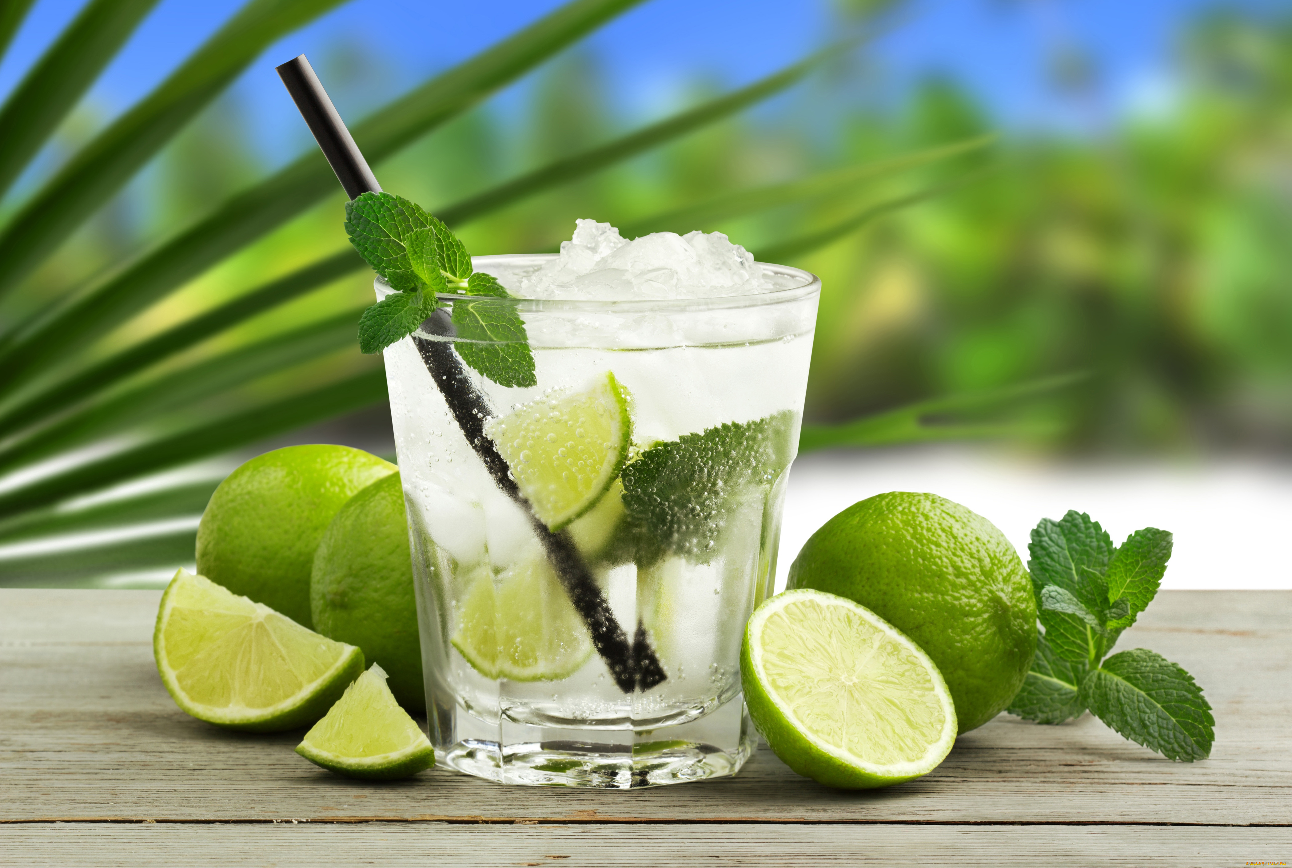 еда, напитки, , коктейль, коктейль, мохито, лайм, стакан