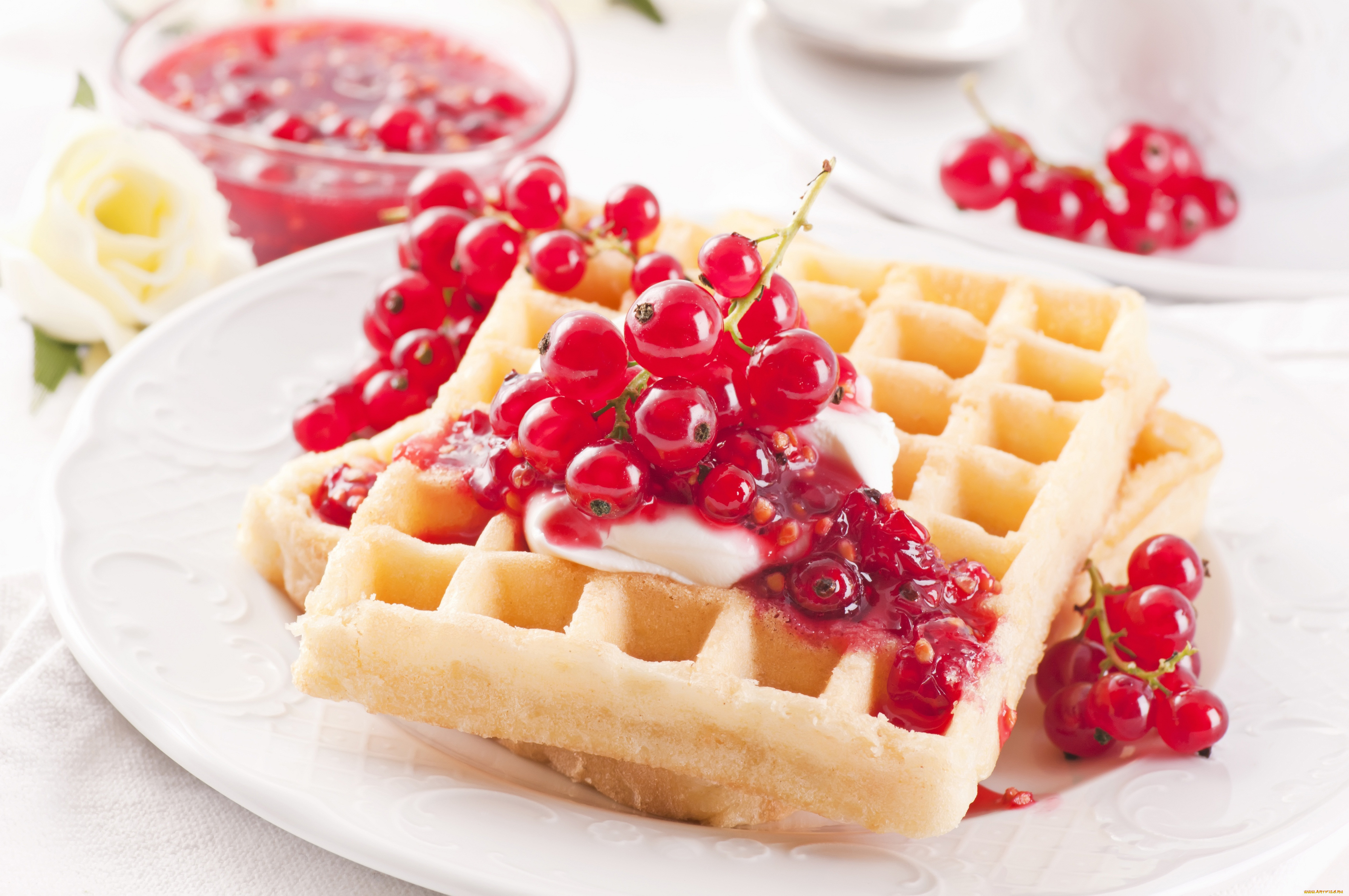 еда, пирожные, , кексы, , печенье, десерт, вафли, красная, смородина, ягоды, сливки