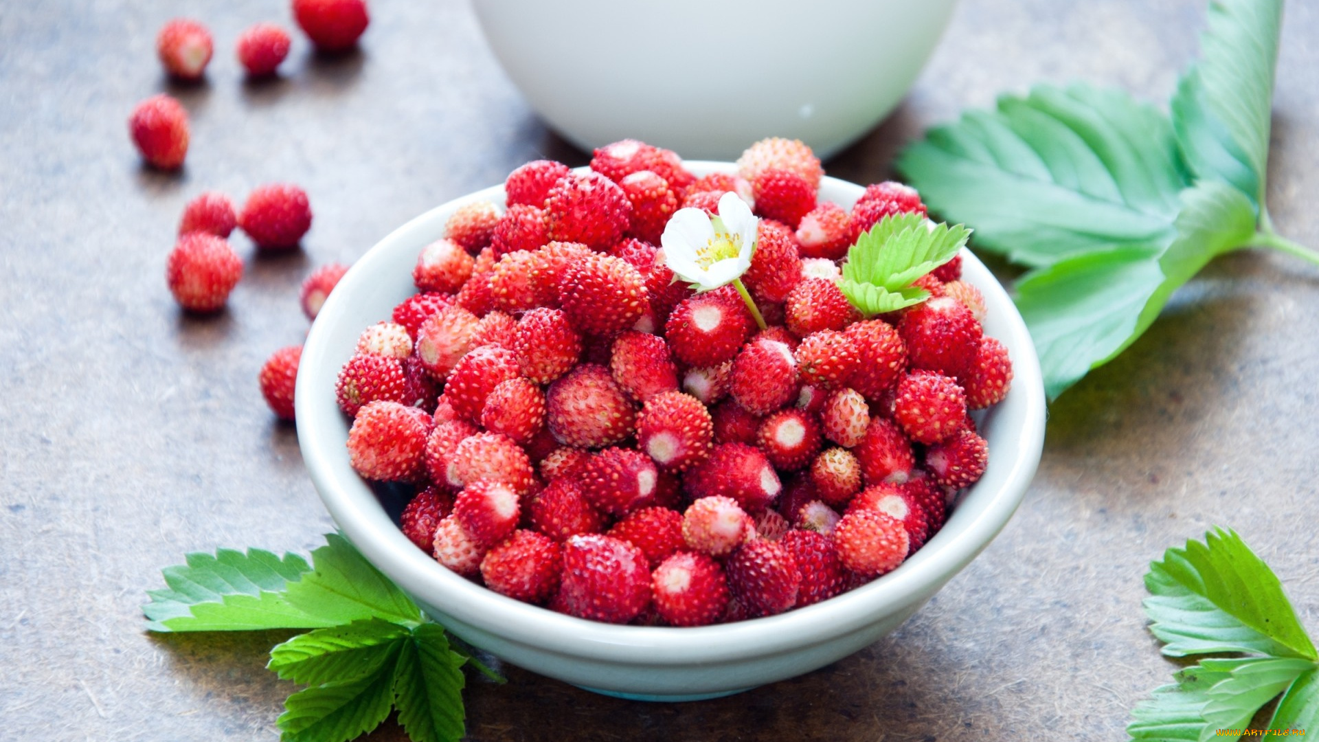 еда, клубника, , земляника, красный, земляника, ягоды, листья, цветочек