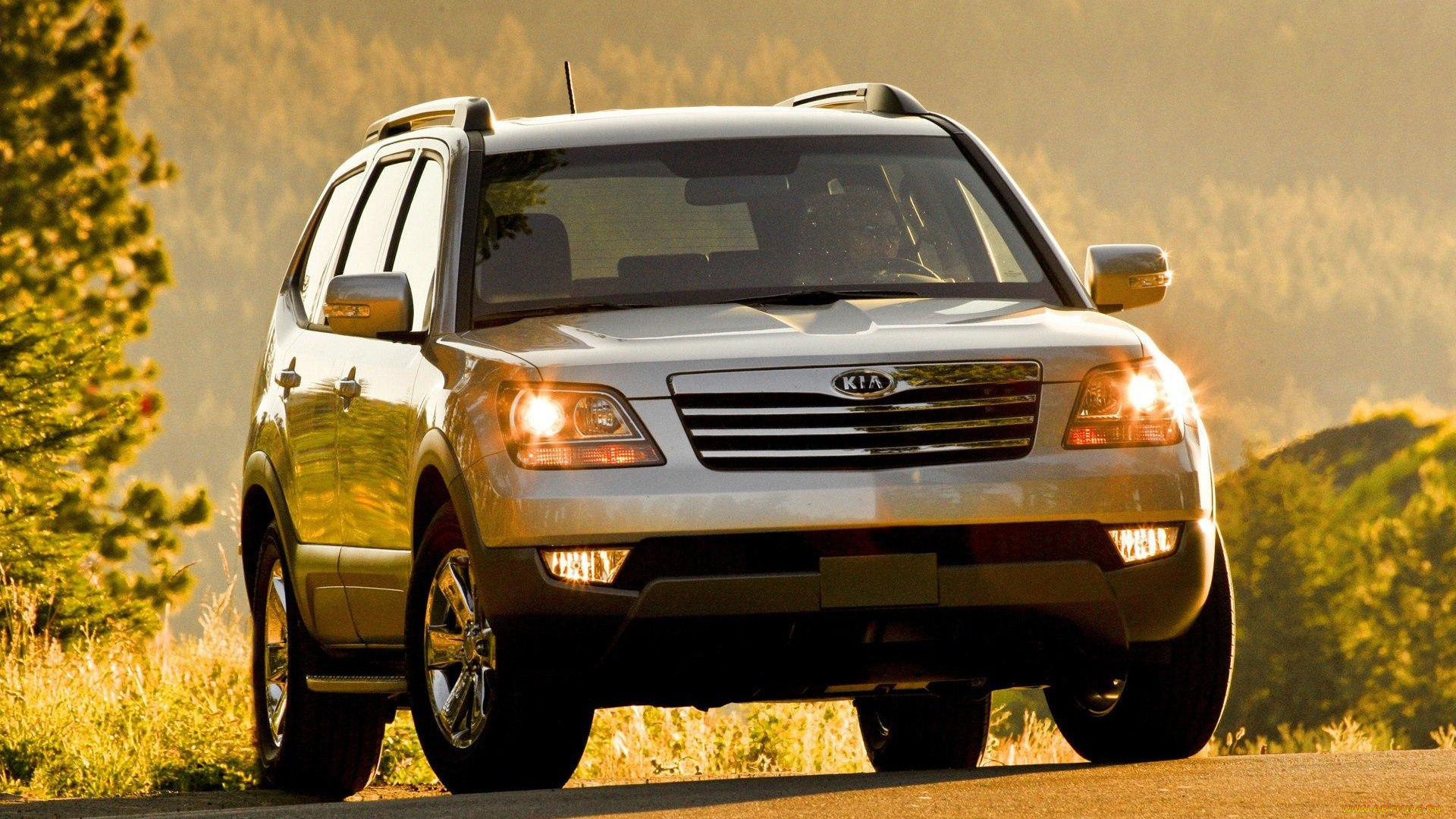 kia, borrego, автомобили, kia, свет, лес, деревья, осень, серебристый, джип, киа
