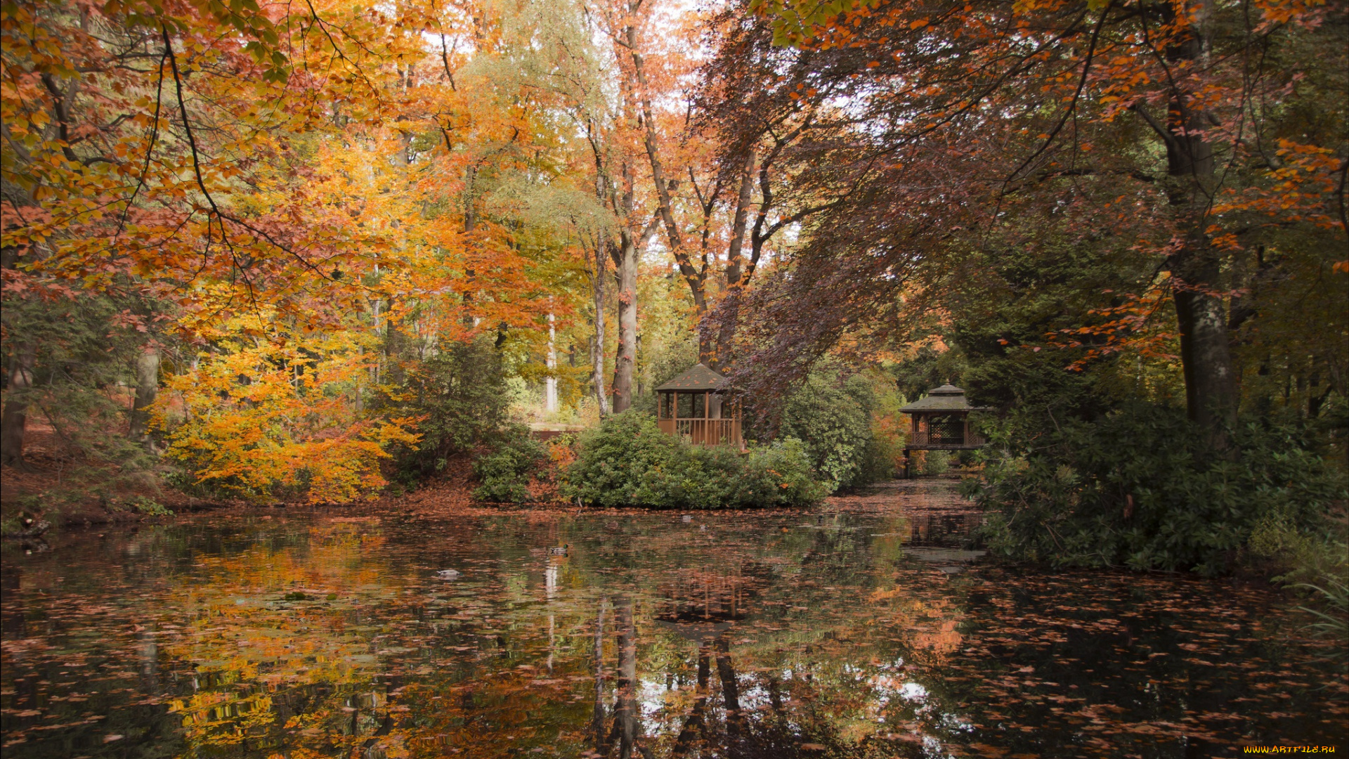 maharishi`s, garden, природа, парк, осень