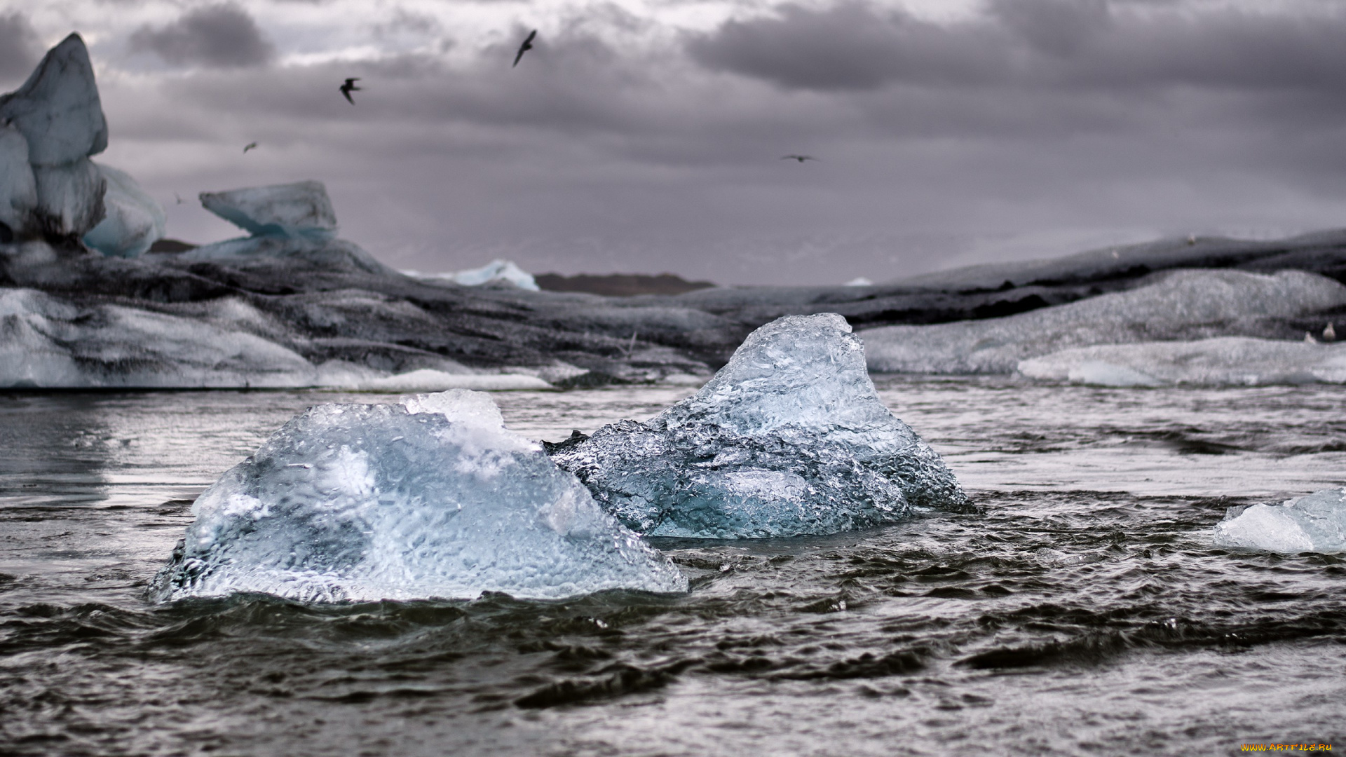 природа, айсберги, и, ледники, льдины, море, чайки, айсберг, шторм