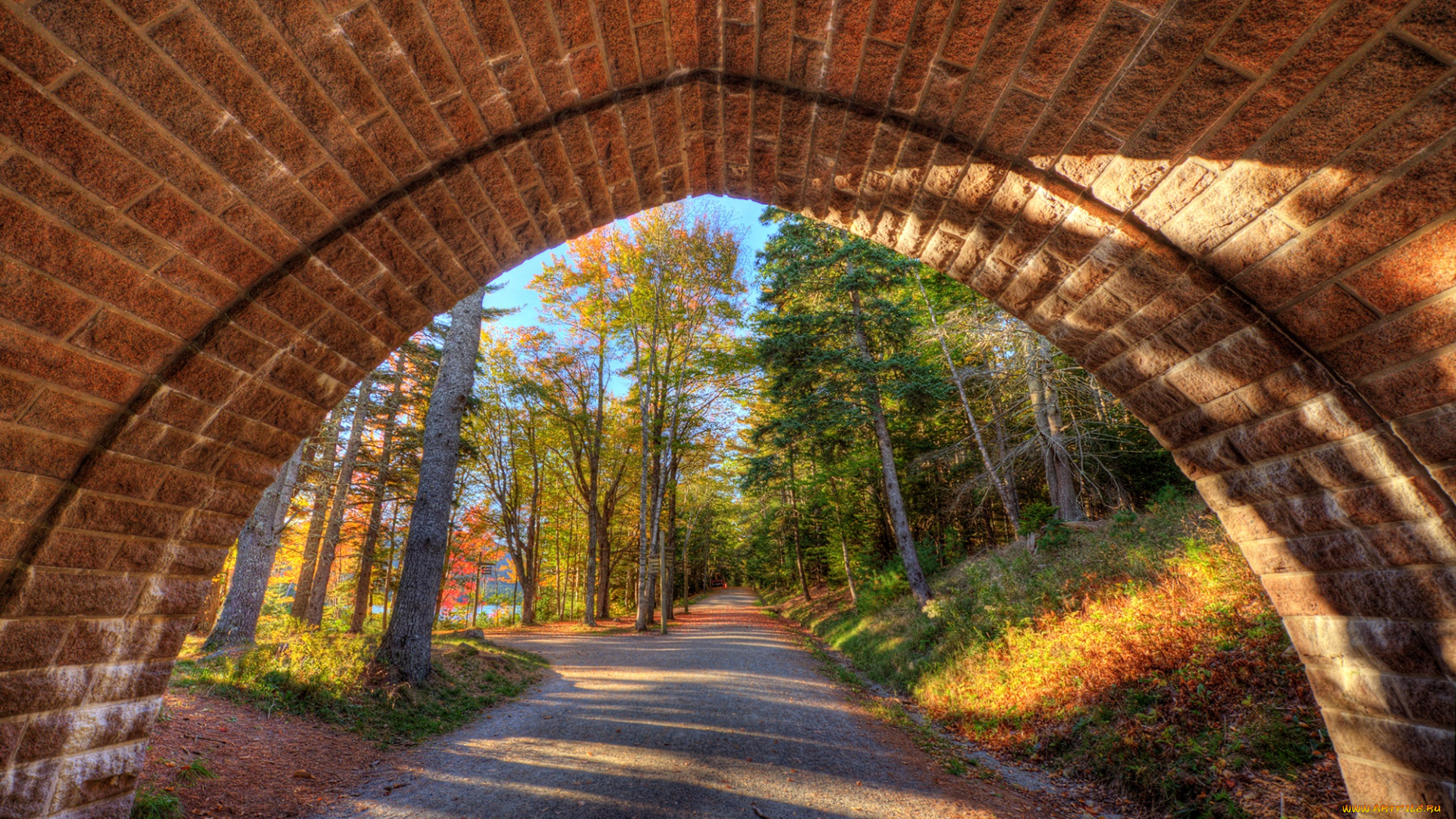 природа, дороги, дорожка, арка, лес
