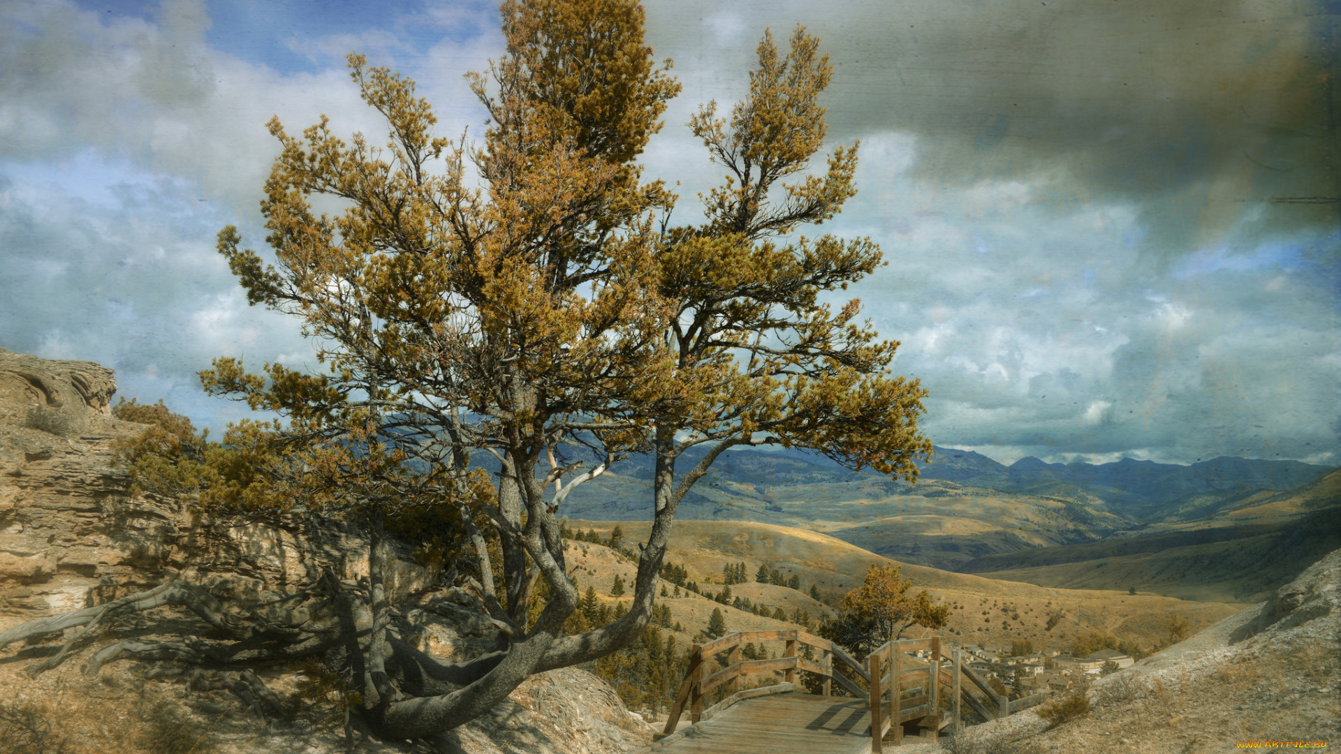 природа, дороги, горы, дерево, дорожка