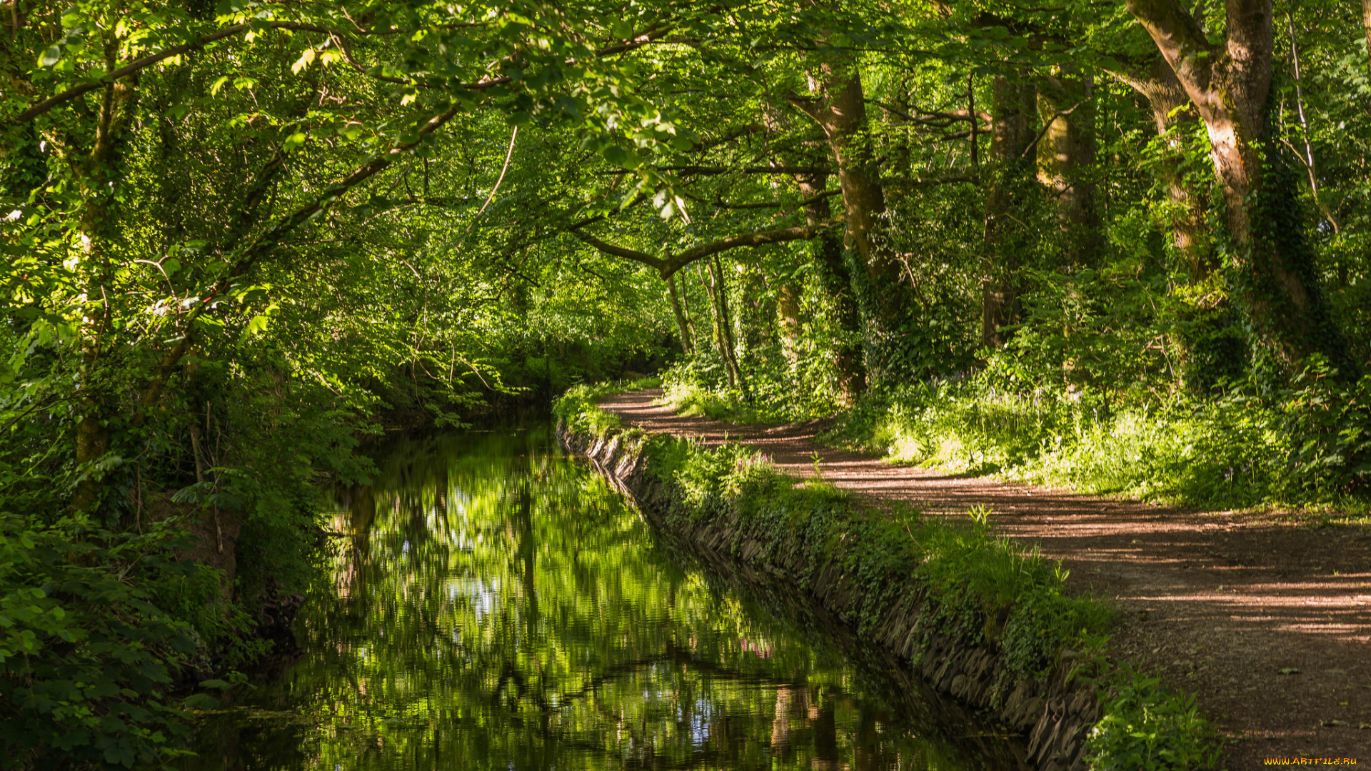 природа, дороги, лес, река