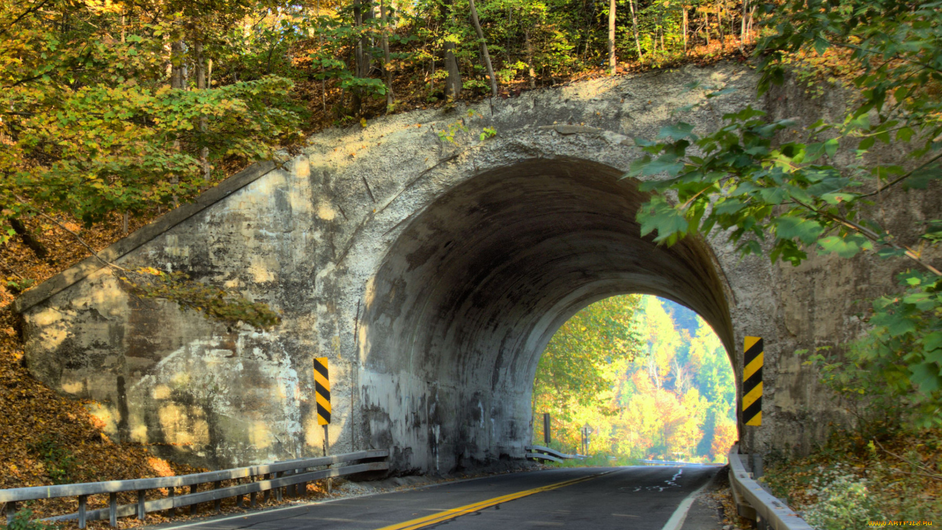 природа, дороги, лес, шоссе, тоннель