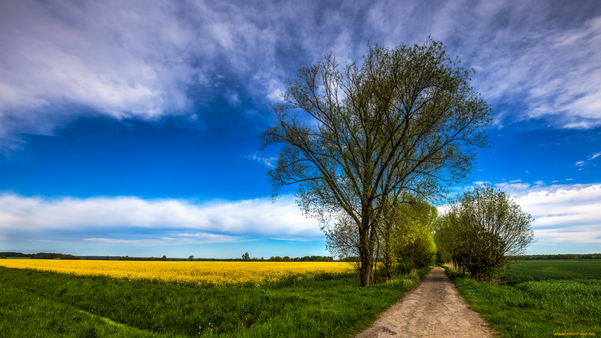 природа, дороги, поле, тракт