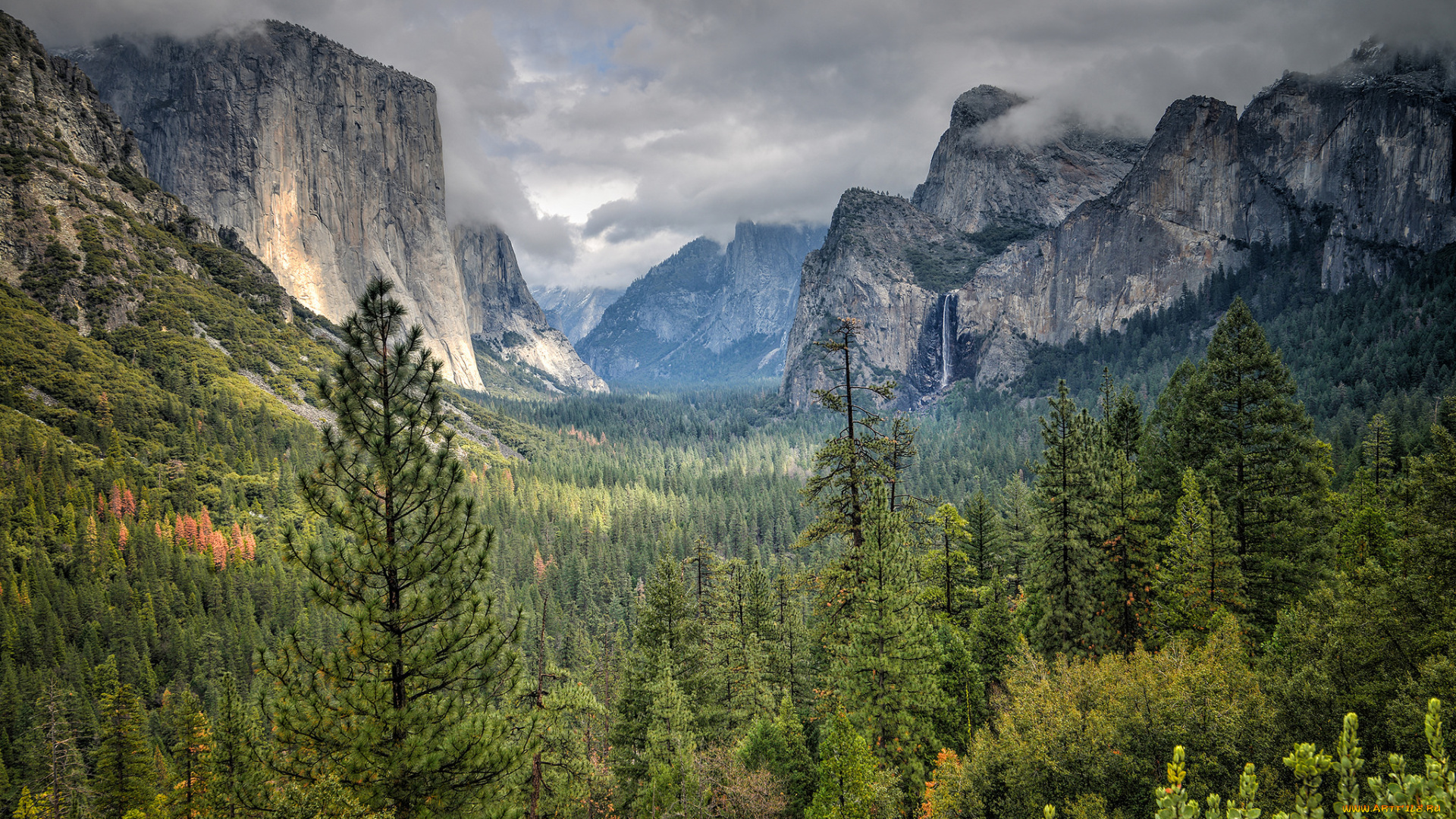 природа, горы, лес, распадок