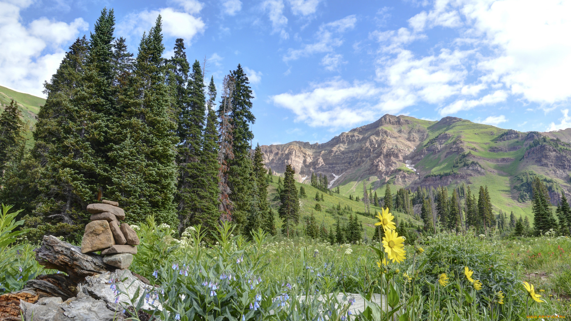 природа, луга, скалы, лес, трава, цветы