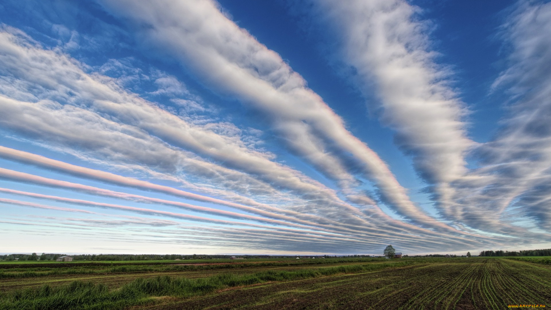 природа, облака, пейзаж, небо, поле